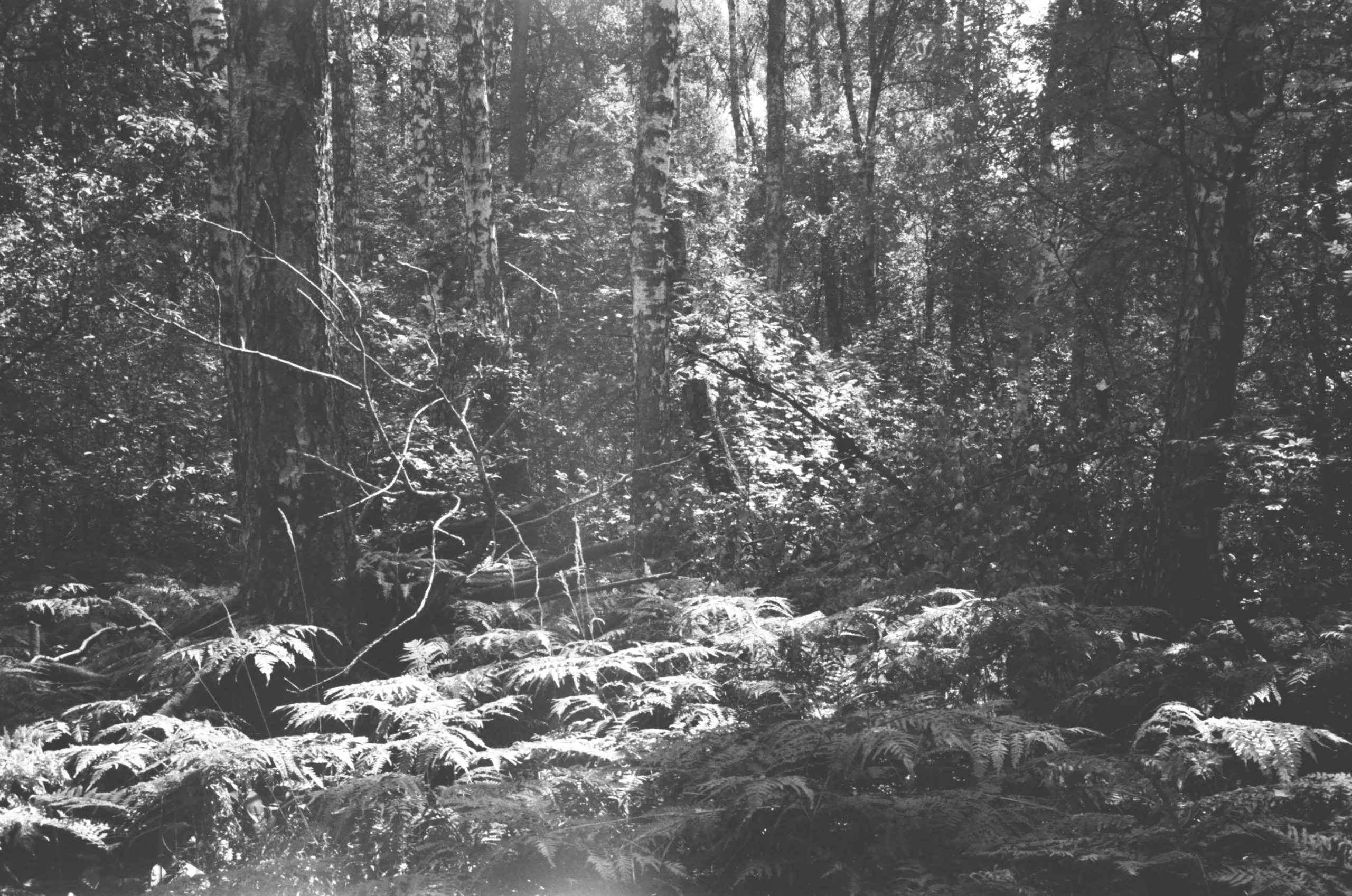 Реконструкция (2019) — Избранные серии — Документальный фотограф Настя Сергеева