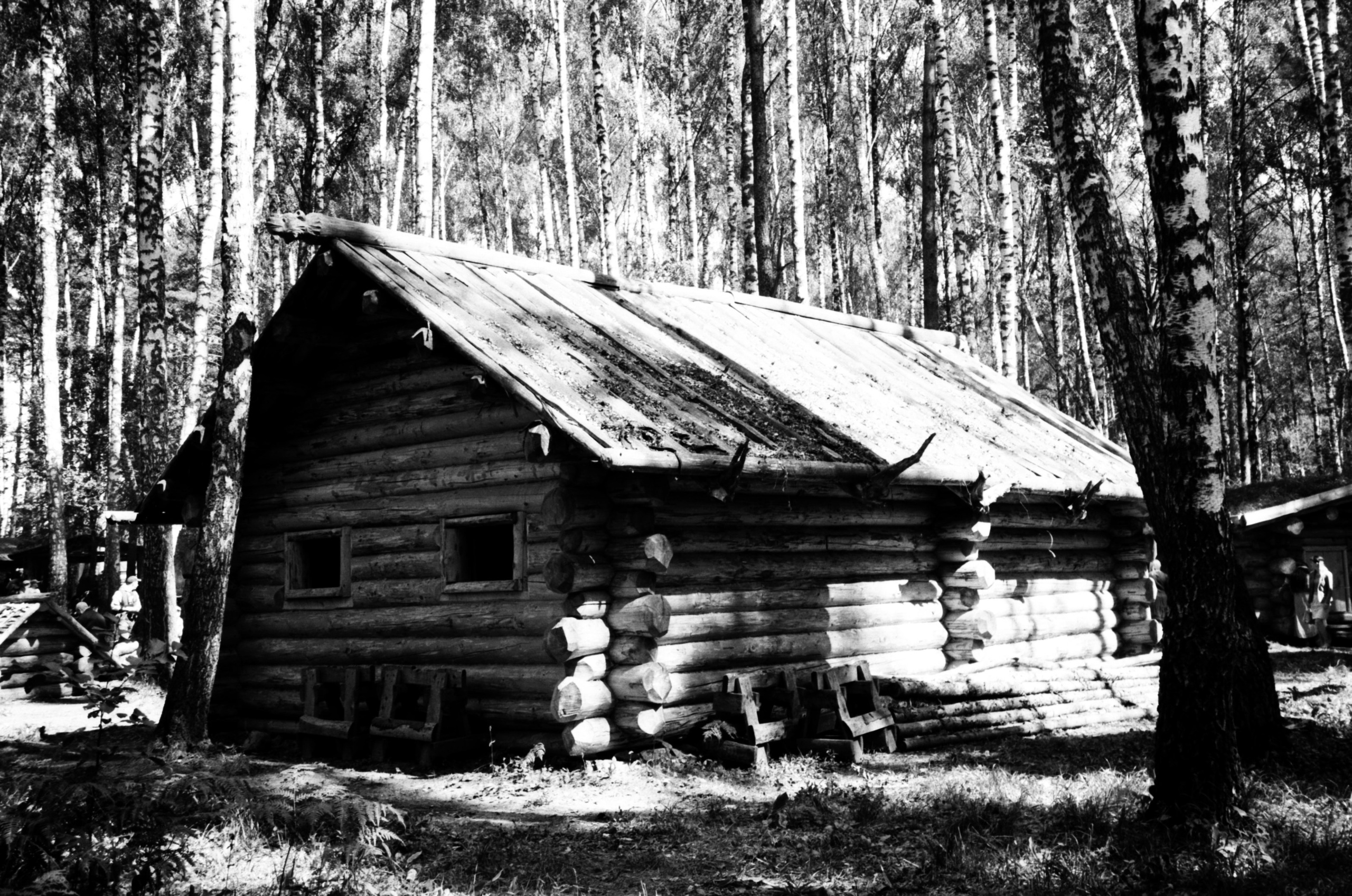 Реконструкция (2019) — Избранные серии — Документальный фотограф Настя Сергеева