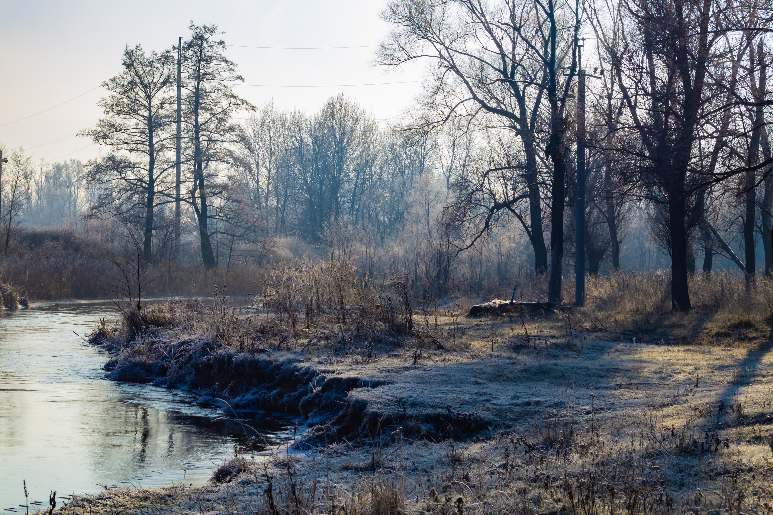 Team of creative photographers. Family, wedding photos