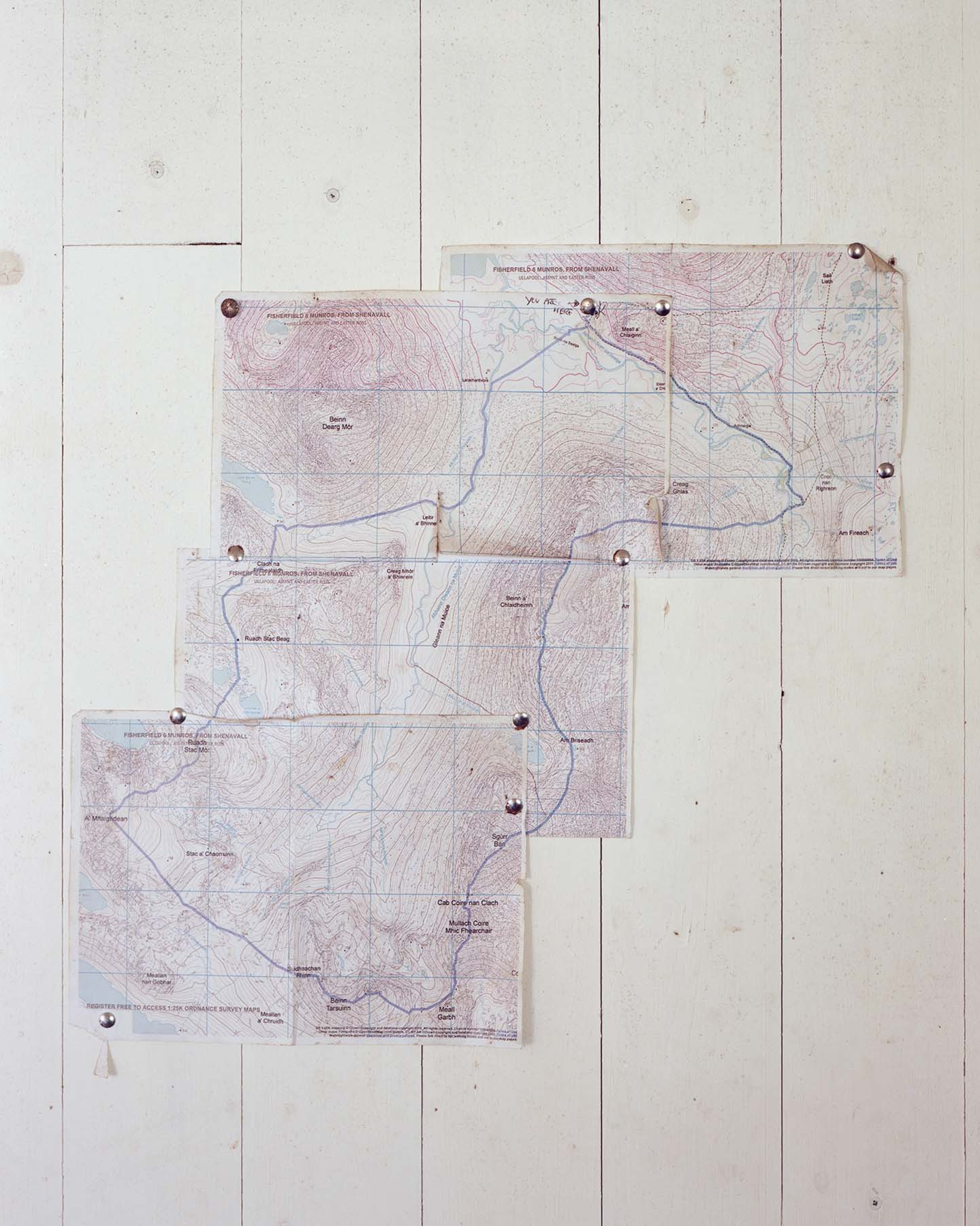 Стоимость, опции и программа школы Walking art