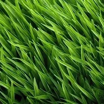 Реальный отзыв психолог. Жизнь после терапии - больше спокойствия и уверенности