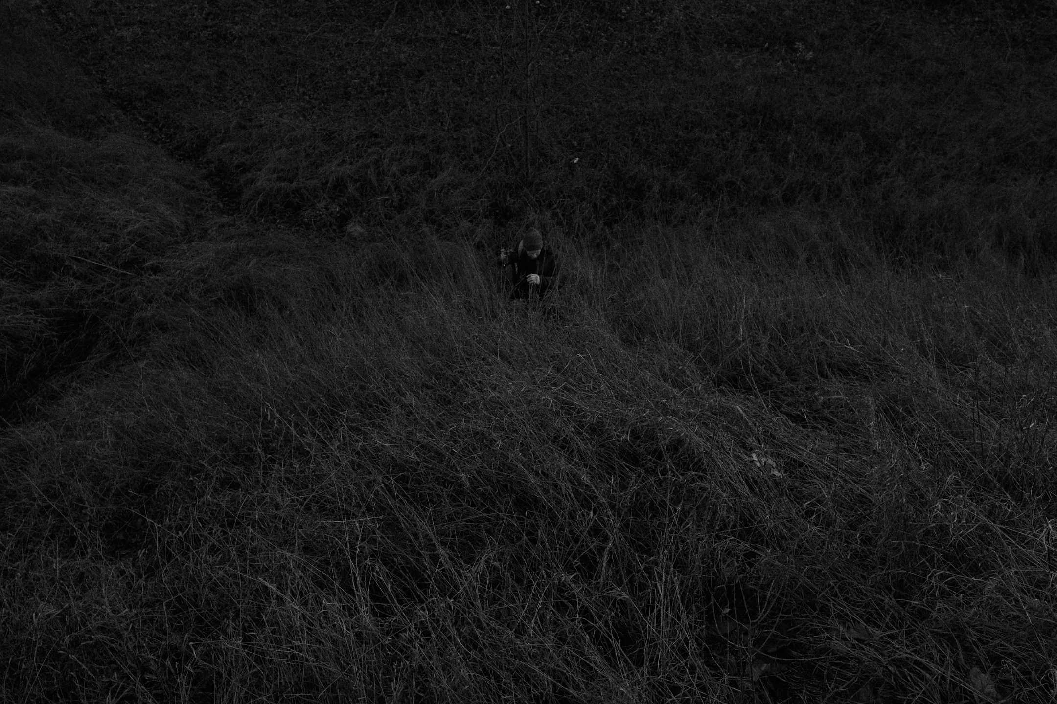 Линии. Михаил Барановский