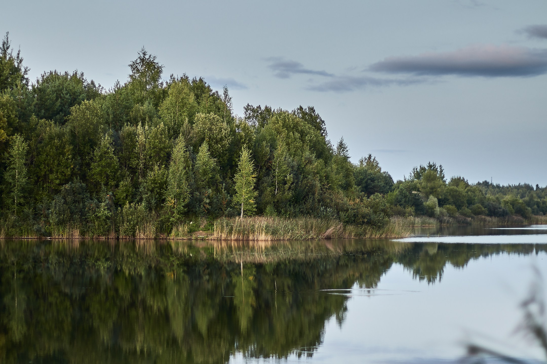 夏季在维什尼沃洛乔克 – 捕捉大自然四季的摄影系列