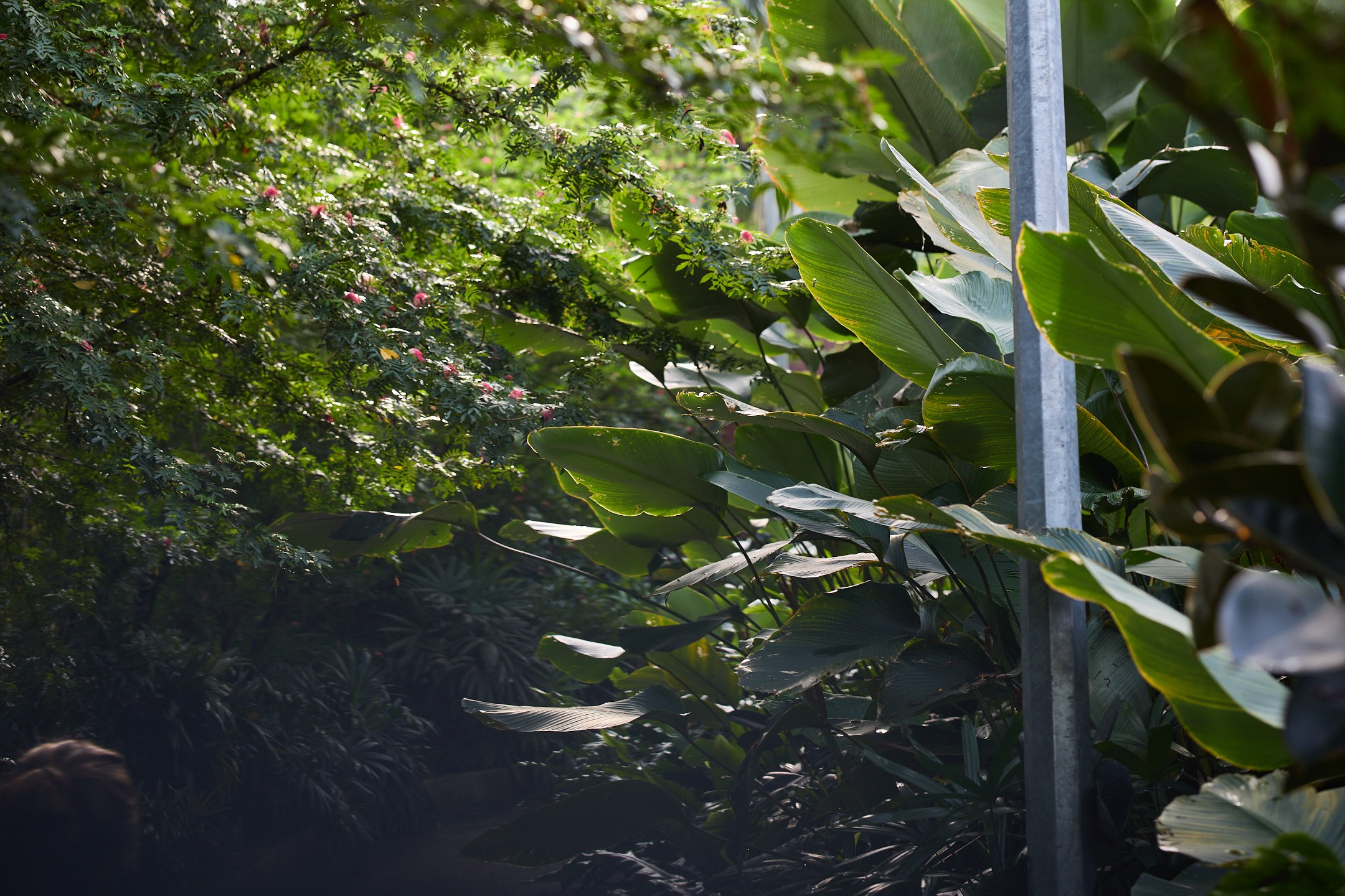 Куала-Лумпур