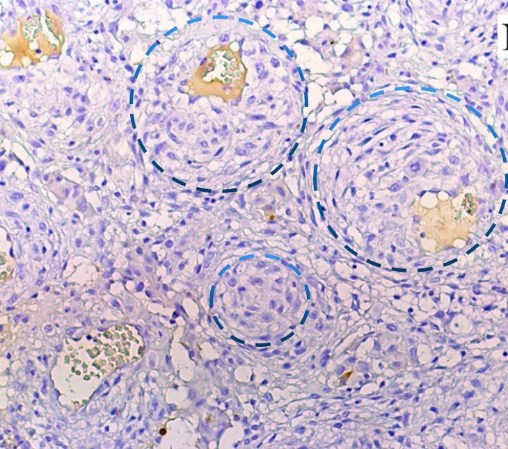 Искусственный интеллект для диагностики. Главная