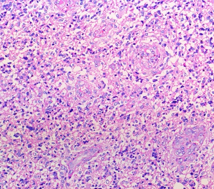 Искусственный интеллект для диагностики. Главная