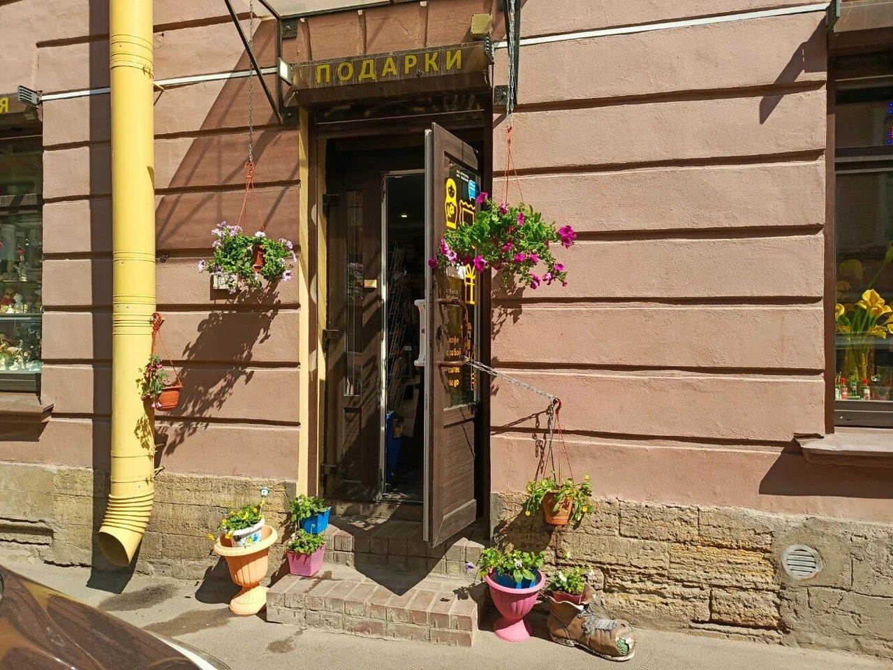 Коты Санкт-Петербурга. Artrostragallery.ru