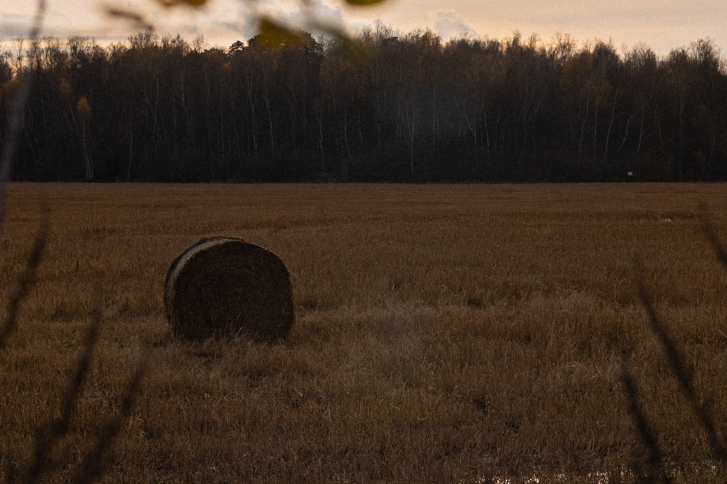 Услуги. Фотограф в Москве и Московской области