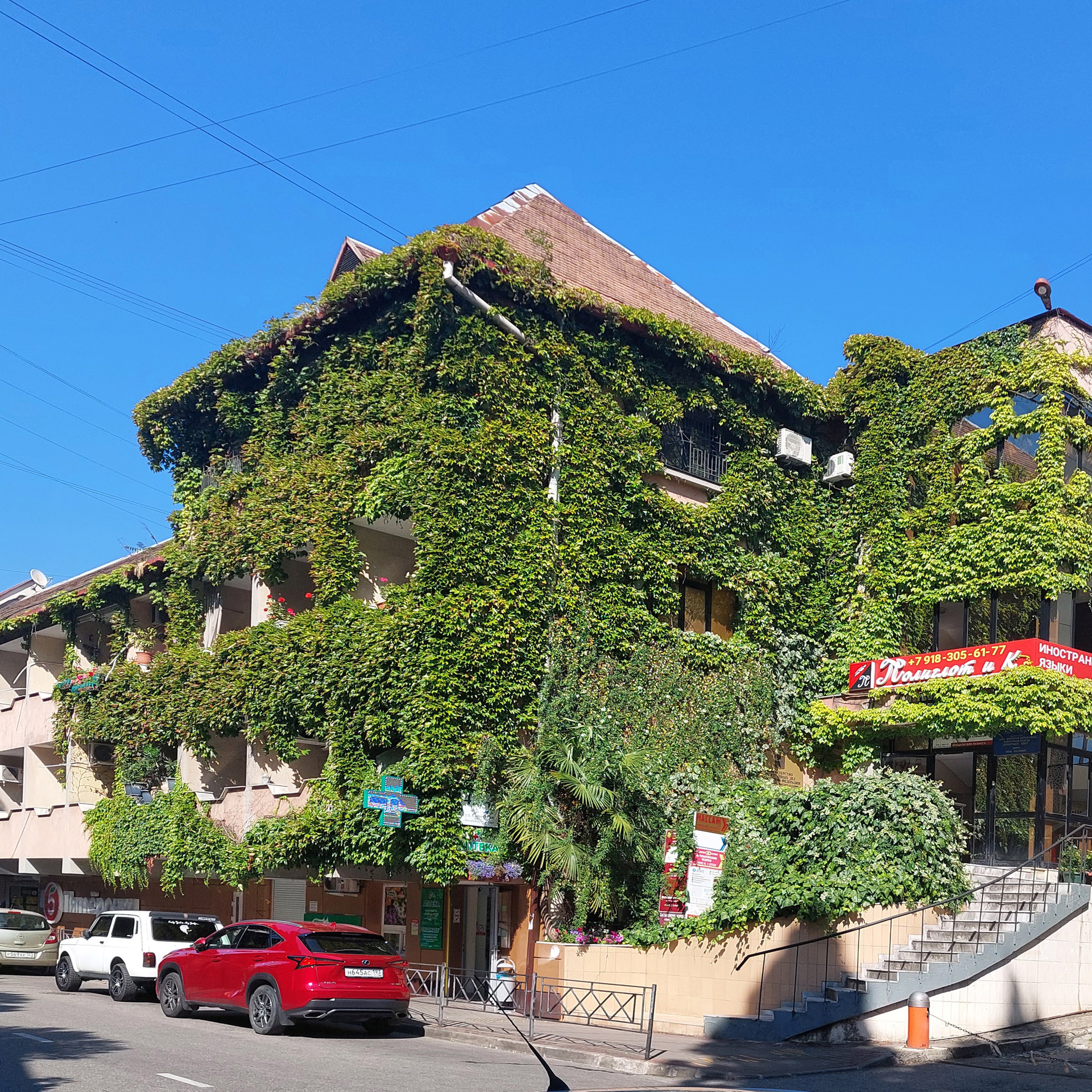 Контакты. «Оджас» Оздоравливающий массаж в Сочи