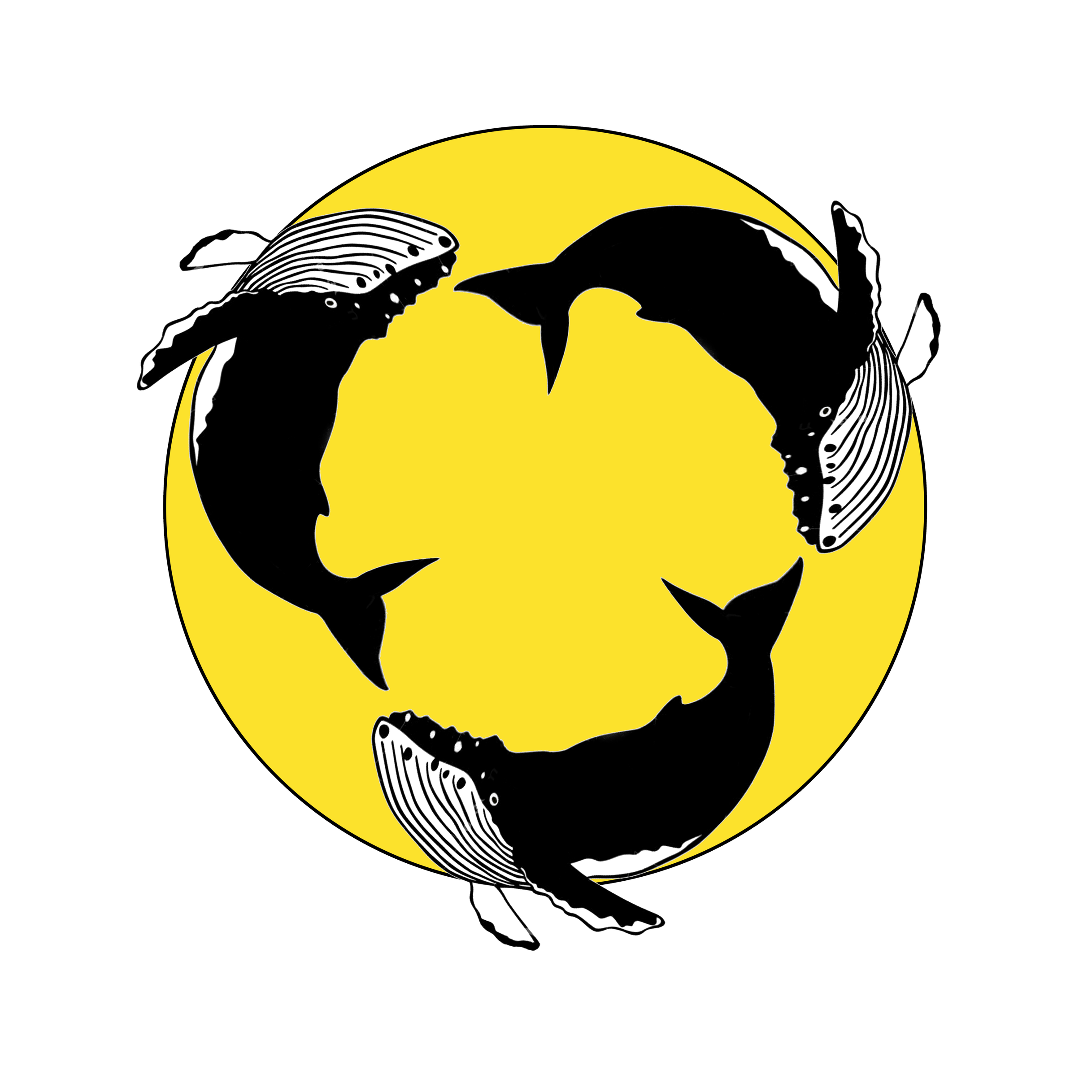 Контакты. Суши и Роллы Пинск