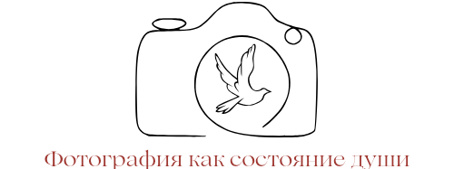 Главная