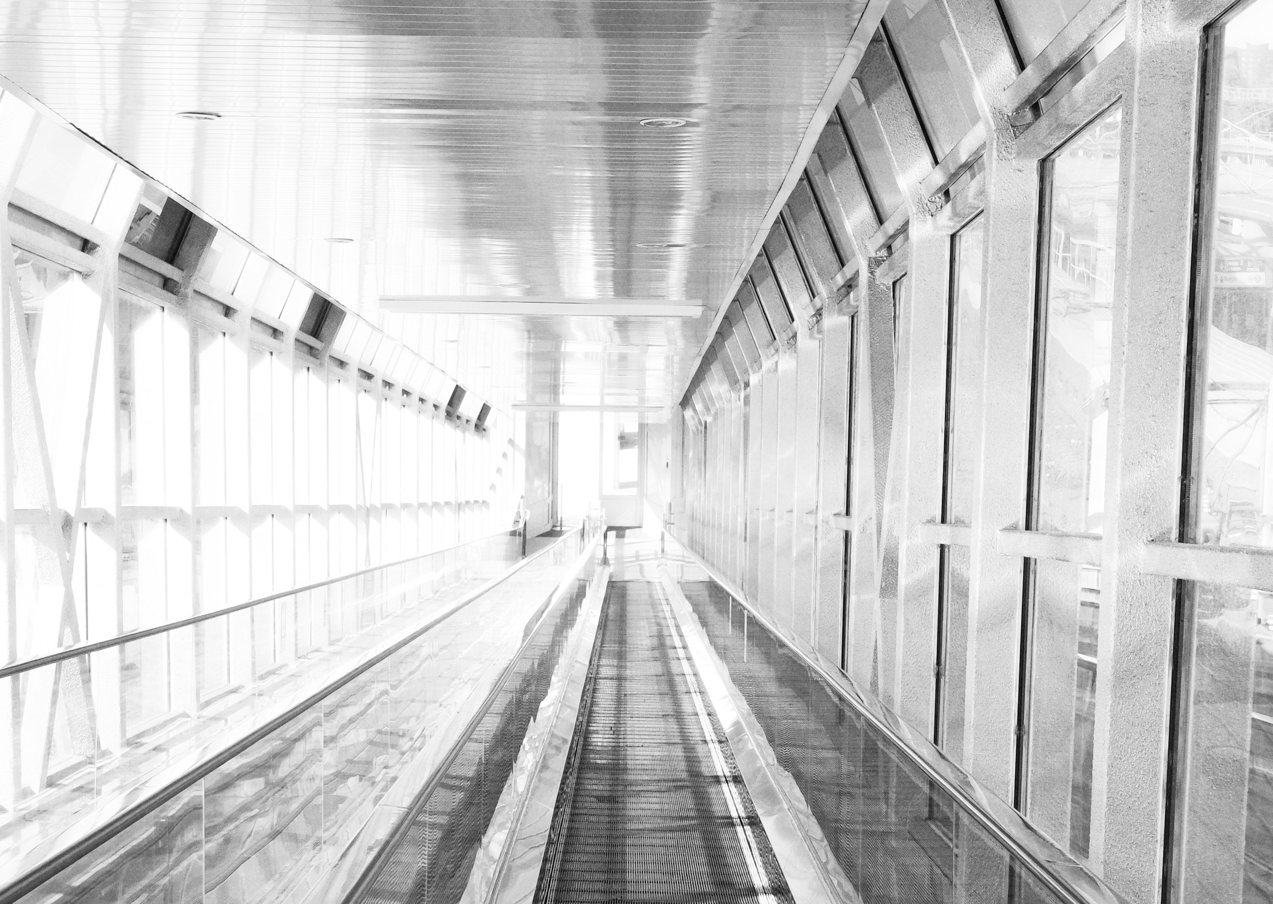 Круг жизни. Пылина Ирина — современная фотография