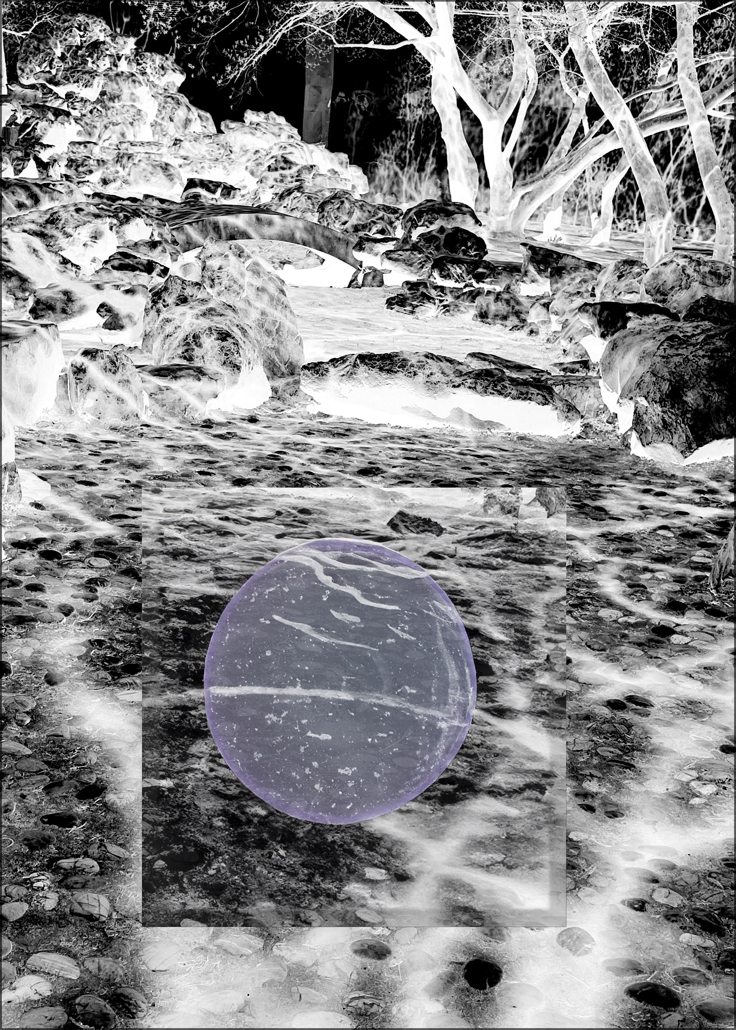 Галереи, выставки, арт-проекты. Visual artist, photographer Liana Darenskaya, Moscow