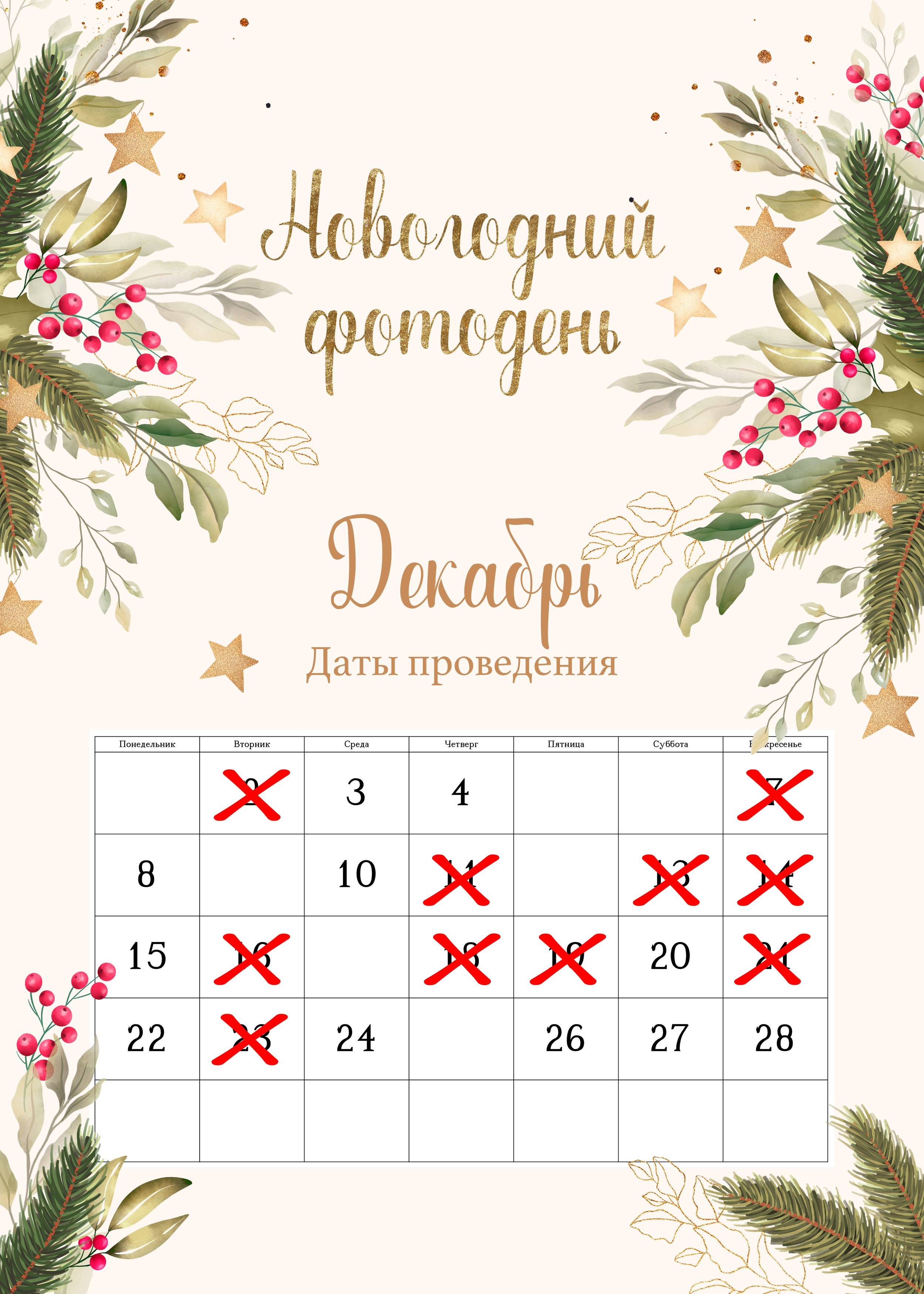 Новогодняя фотосессия. Фотограф в Кронштадте и Санкт-Петербурге Анастасия Коваленко