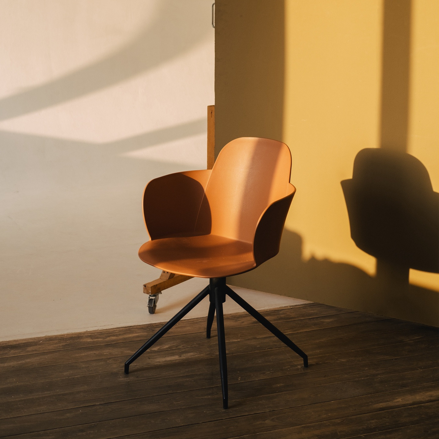 Фотостудии. Семейный, детский и свадебный фотограф