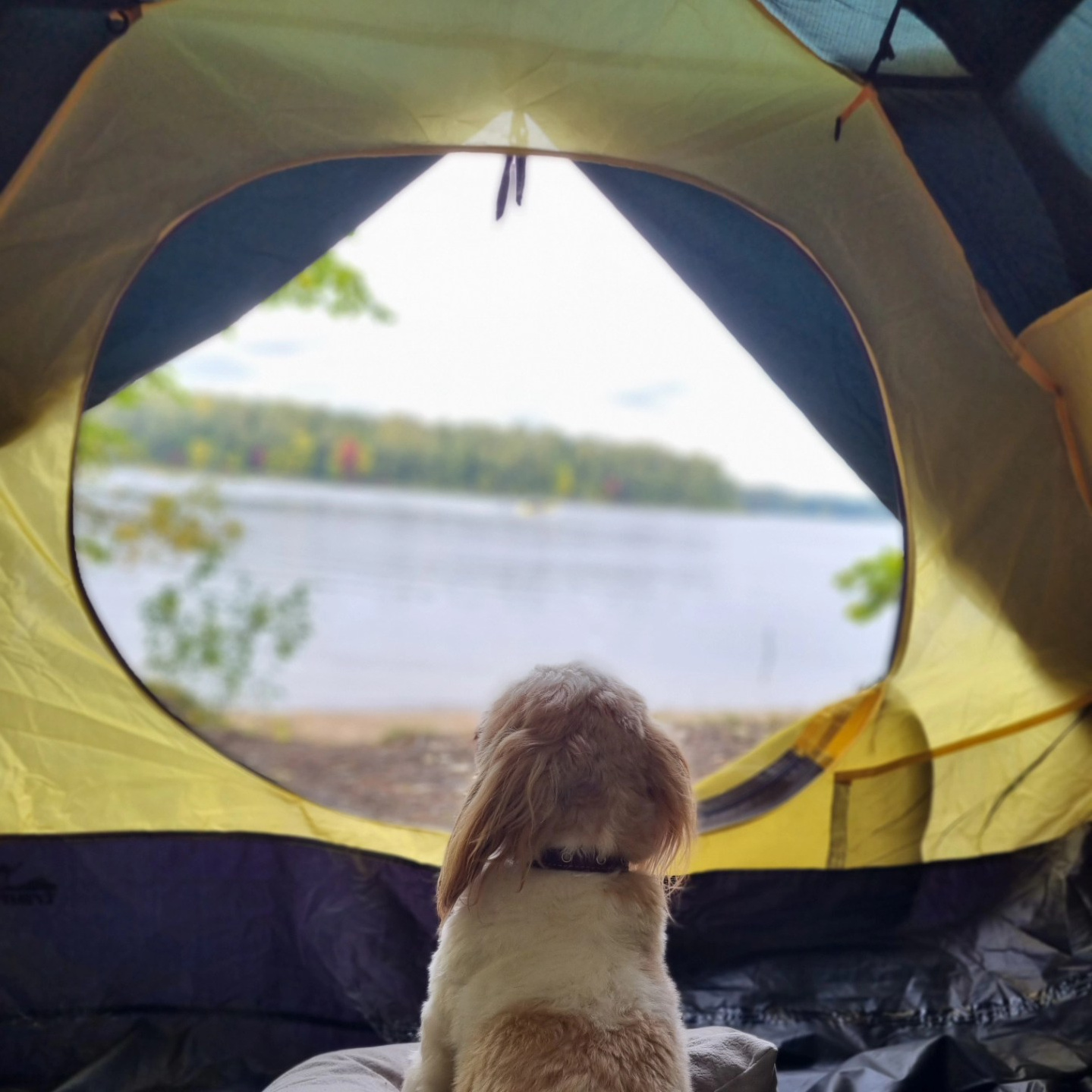 Пункт проката Кондуки. Тула. Узловая. Прокат Кондуки