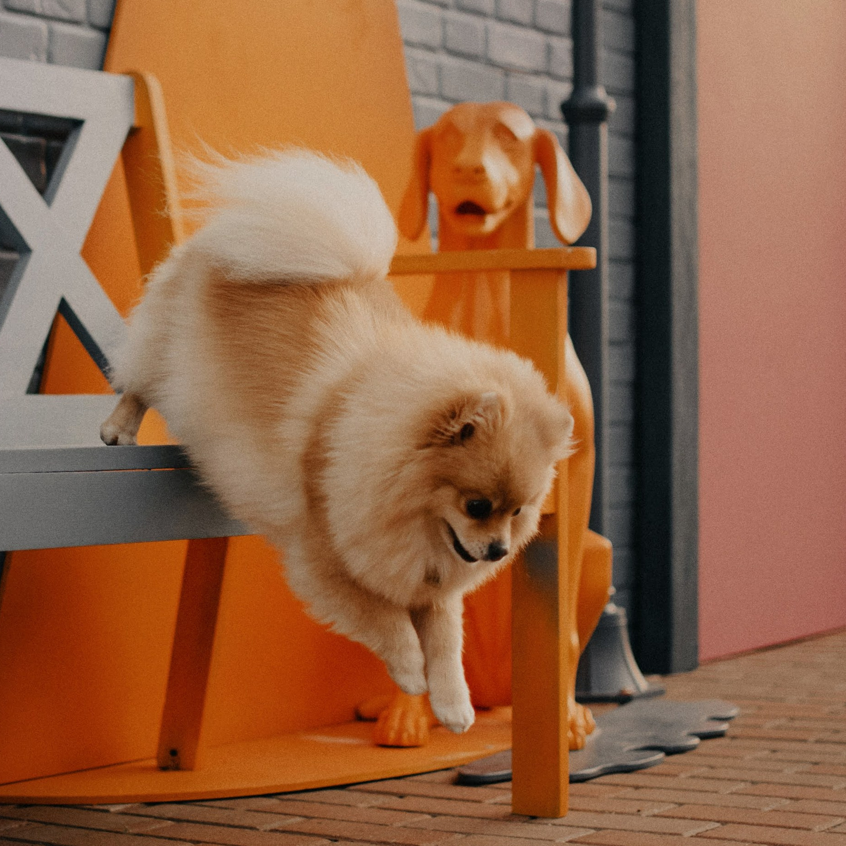 How it works. Photos of you and your pet