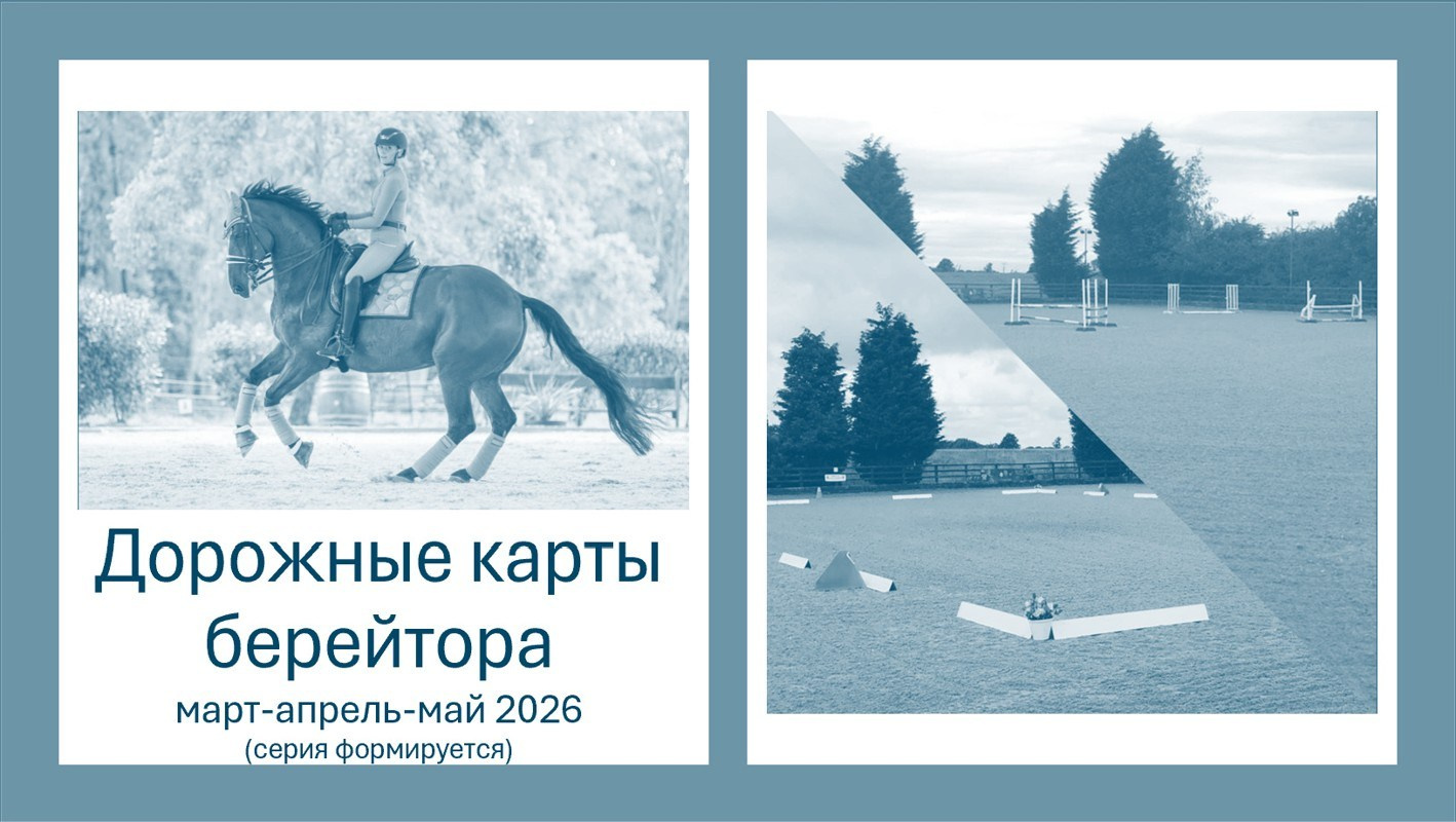 Календарь соревнований и семинаров. Лиана Антонович | Конные стратегии