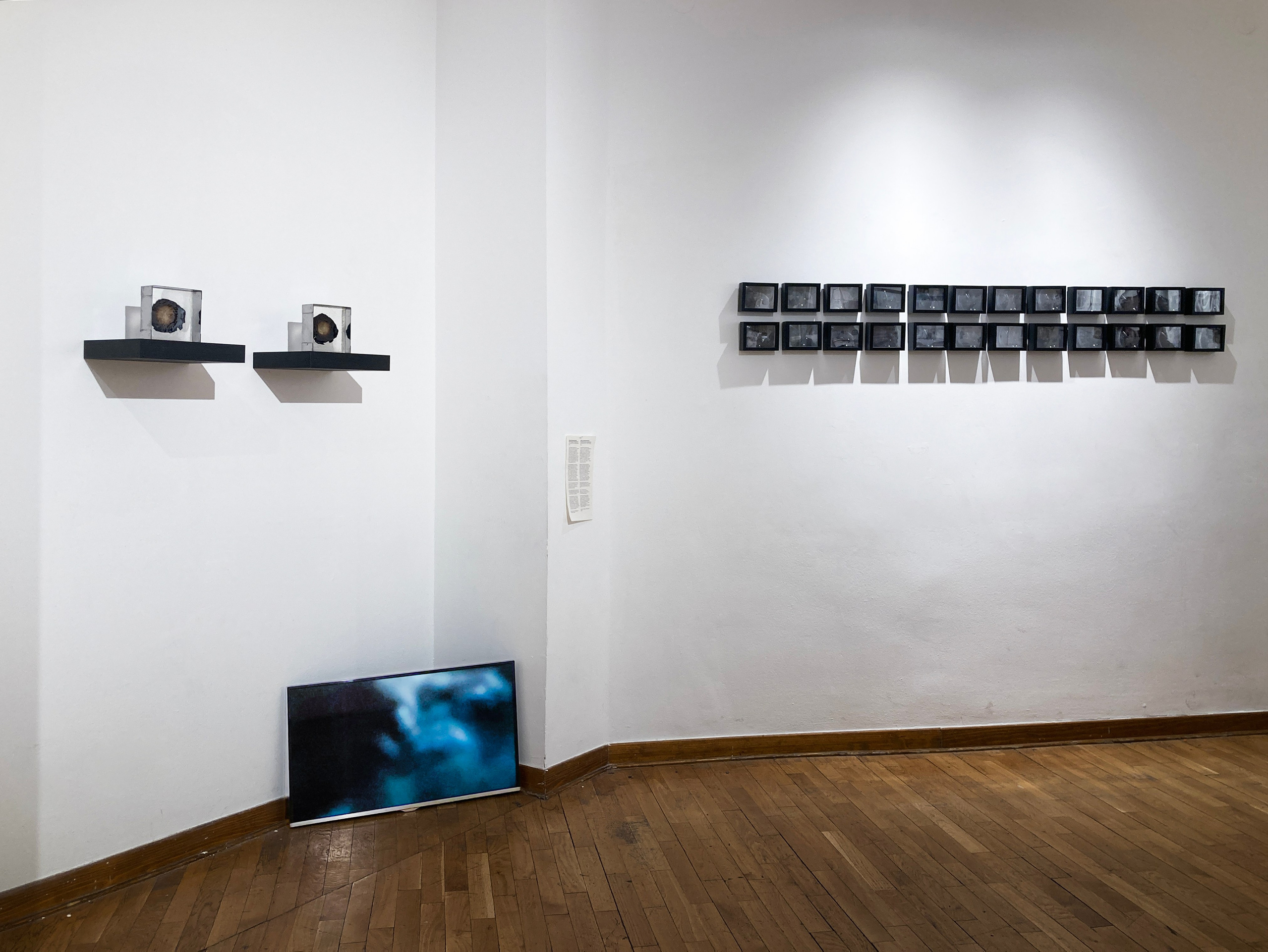 Необыкновенное вещество (2025 г.). Плёночный фотограф Юлия Андрейченко в Москве