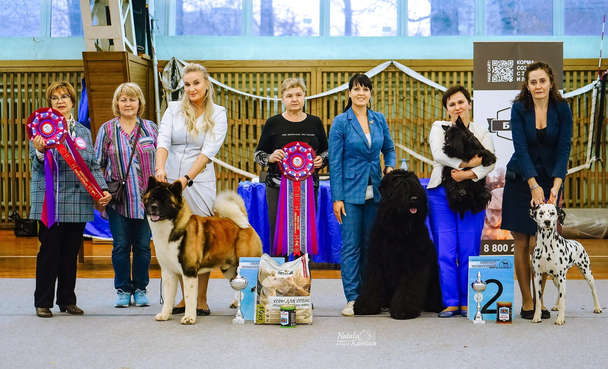 Выставка собак Новосибирск