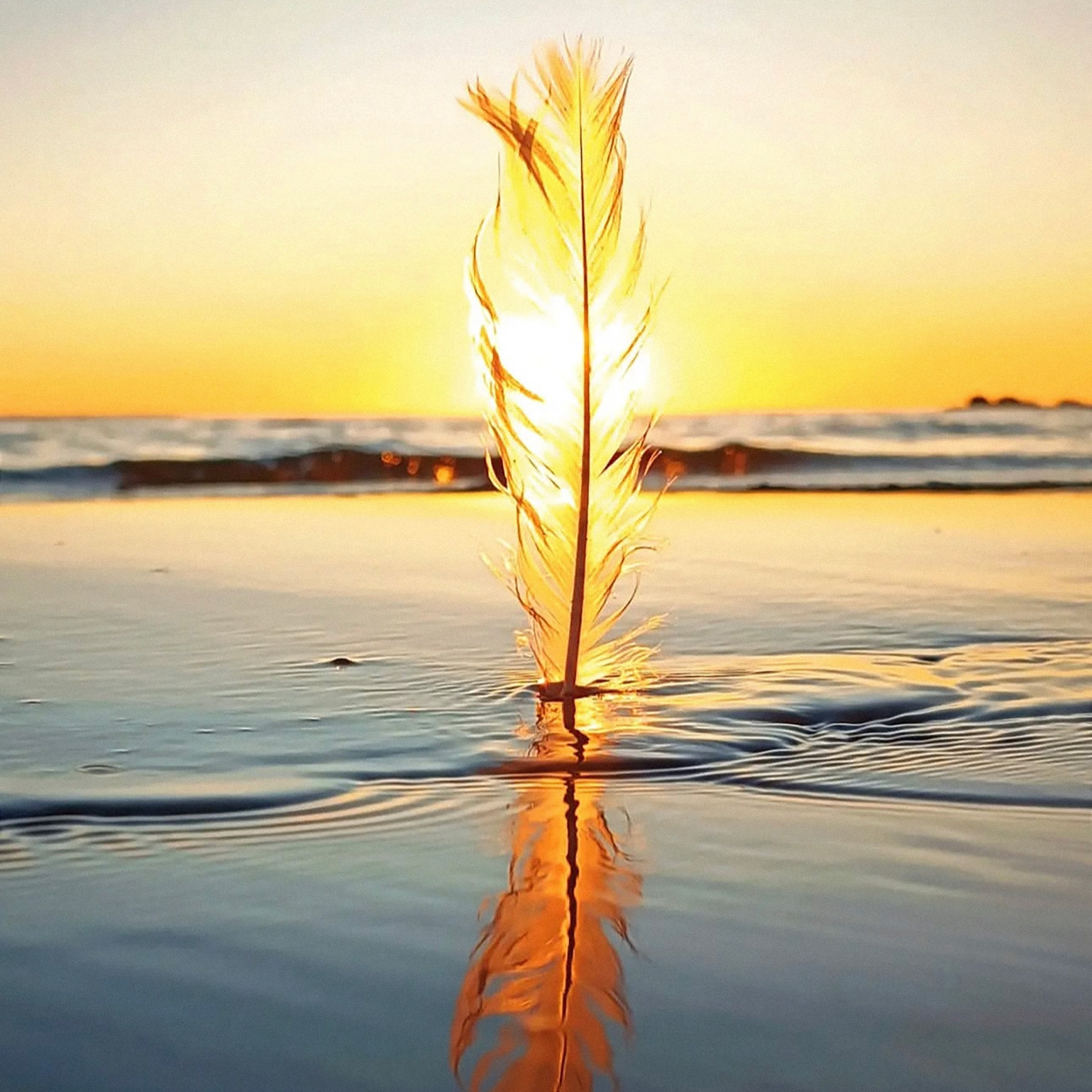 Музыка про людей. Дина Шаткова