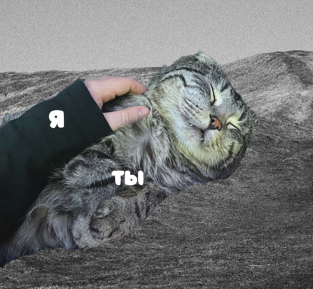 Индивидуальное обучение. Фотограф урал