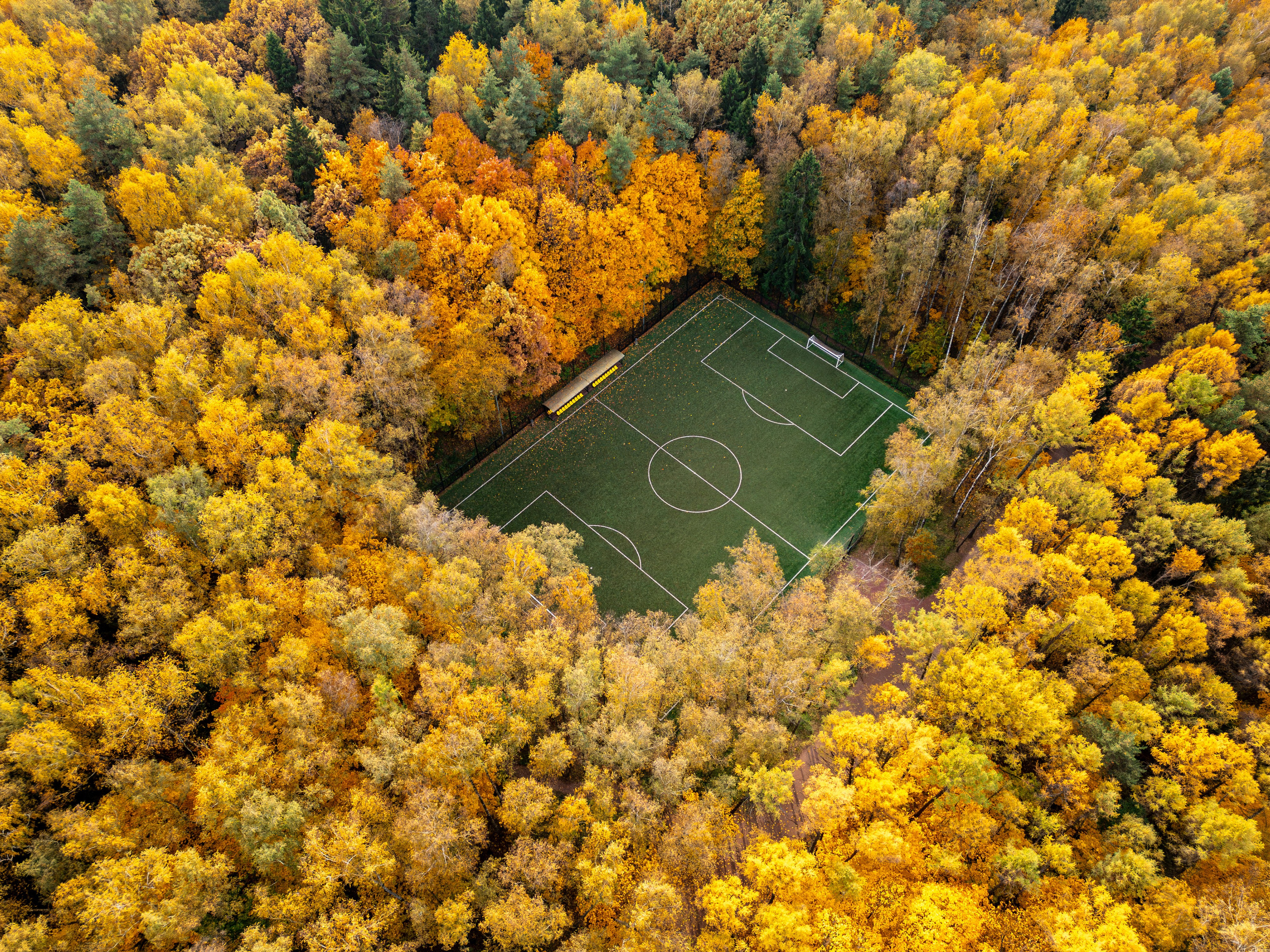 Blog Alexey Nikitin. Professional photographer Alexey Nikitin in Moscow