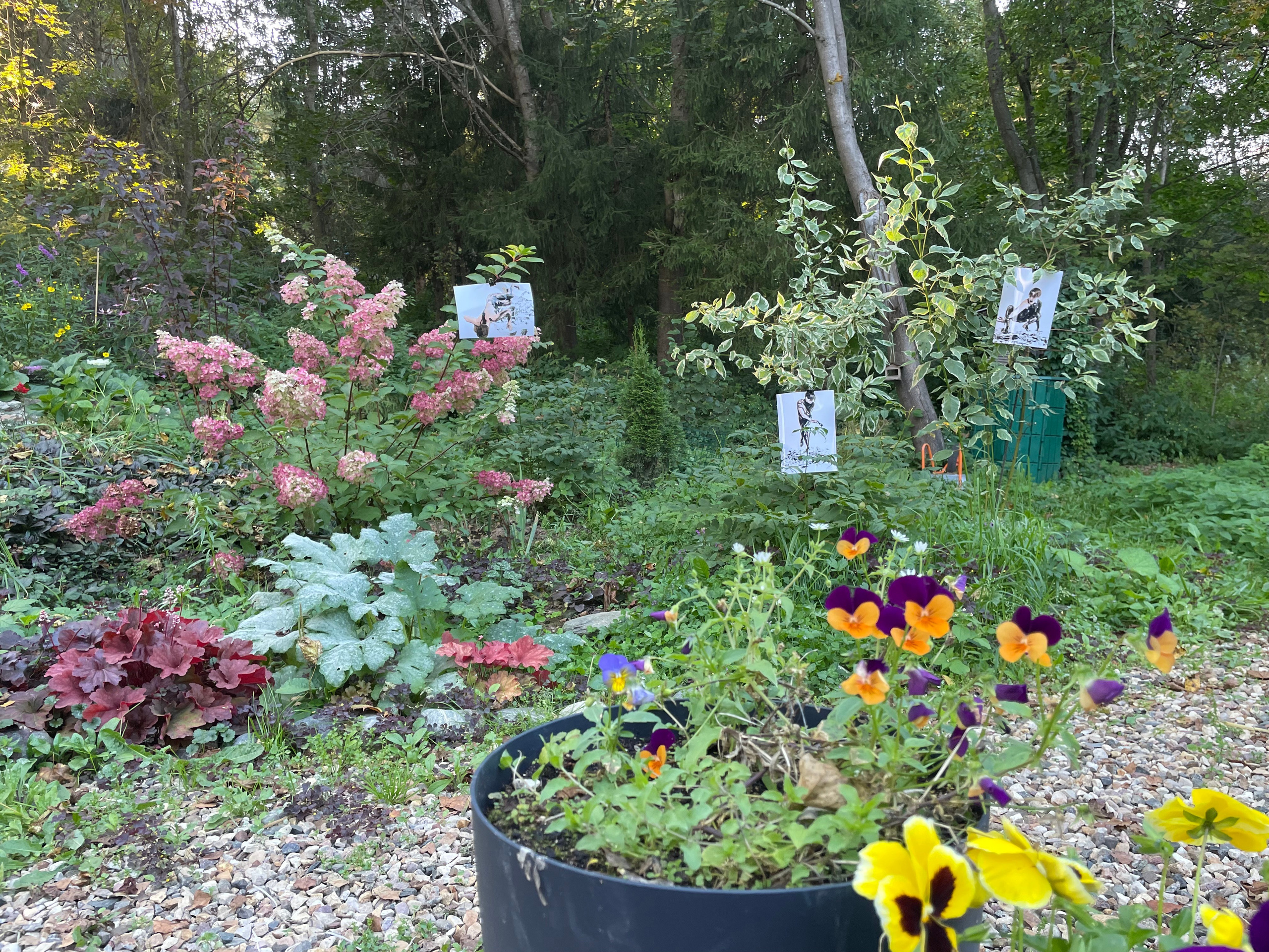 Персональные выставки. Визуальный художник Лиана Даренская, Москва