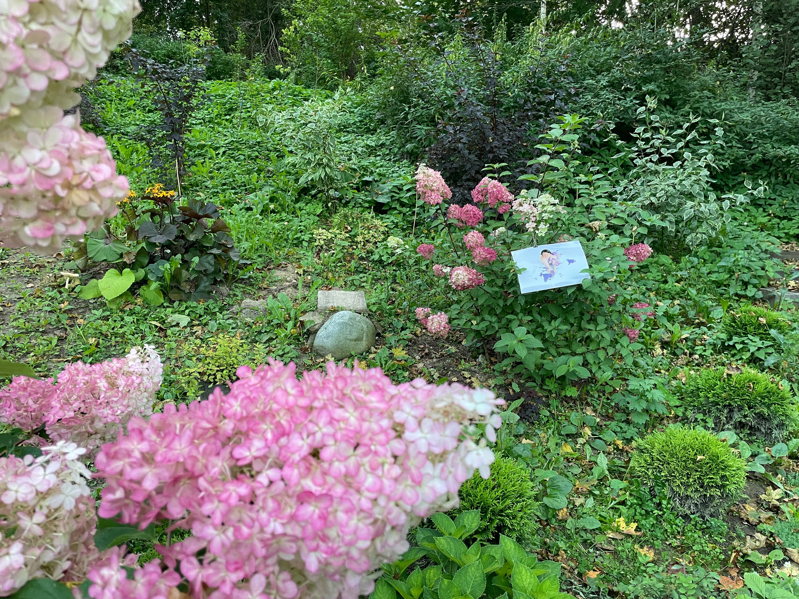 Персональные выставки. Визуальный художник Лиана Даренская, Москва