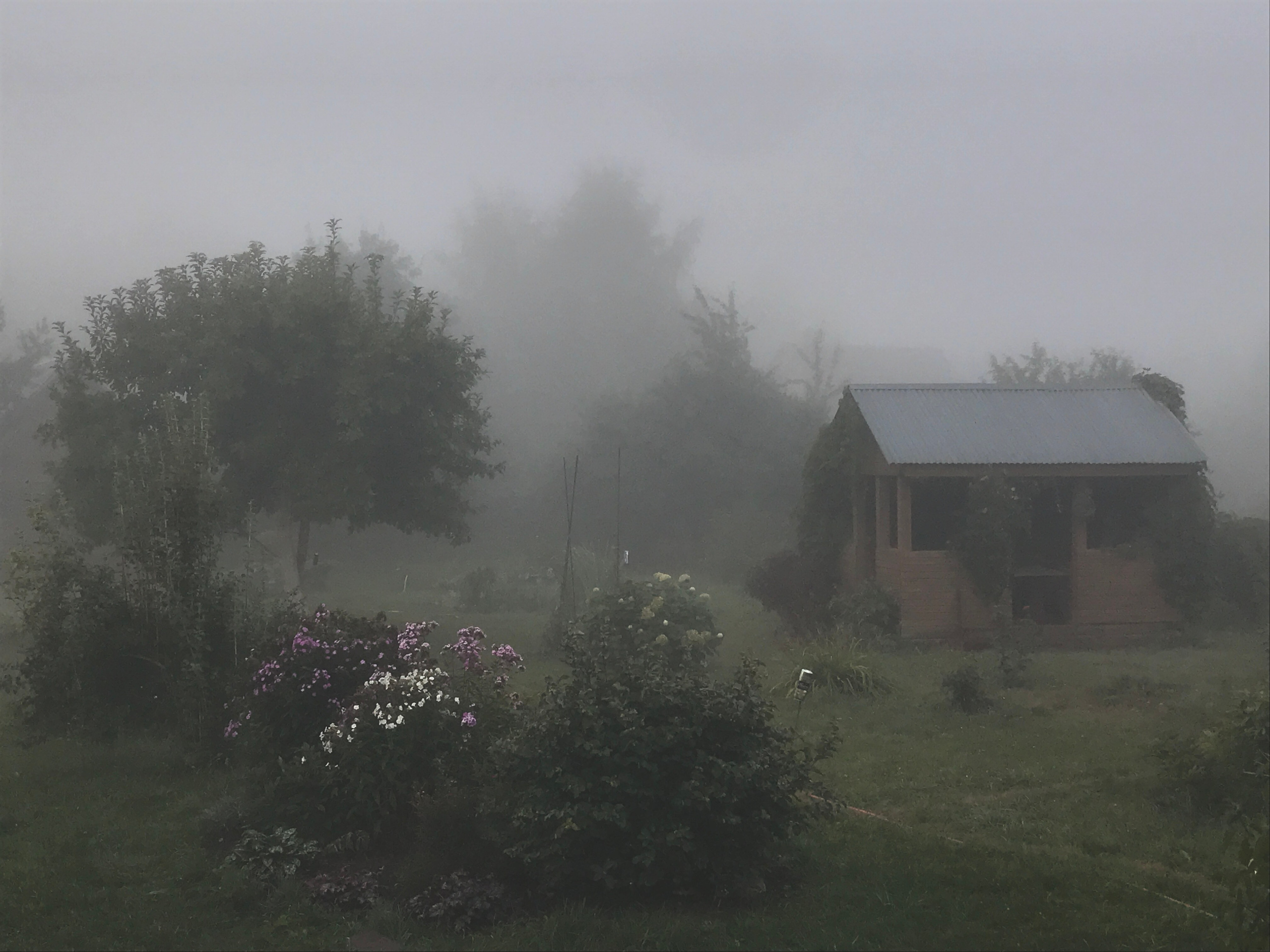 Горетово (2016-2022) — Избранные серии — Документальный фотограф Настя Сергеева