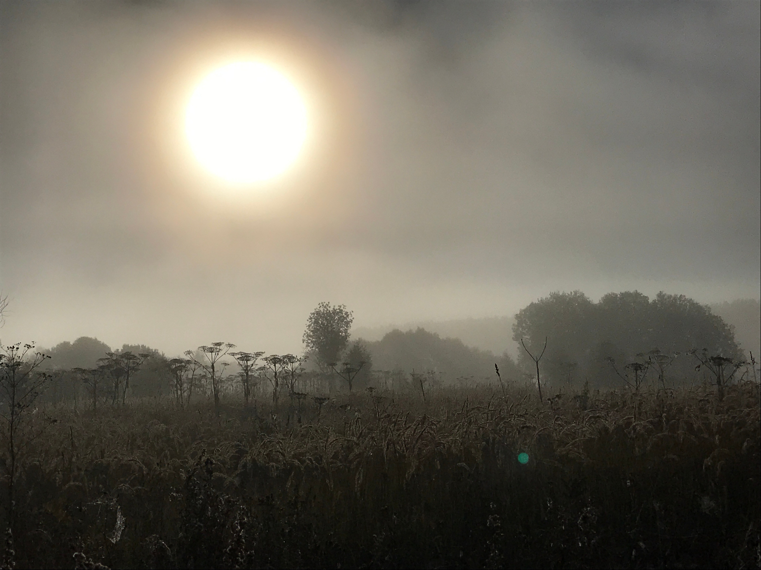 Горетово (2016-2022) — Избранные серии — Документальный фотограф Настя Сергеева