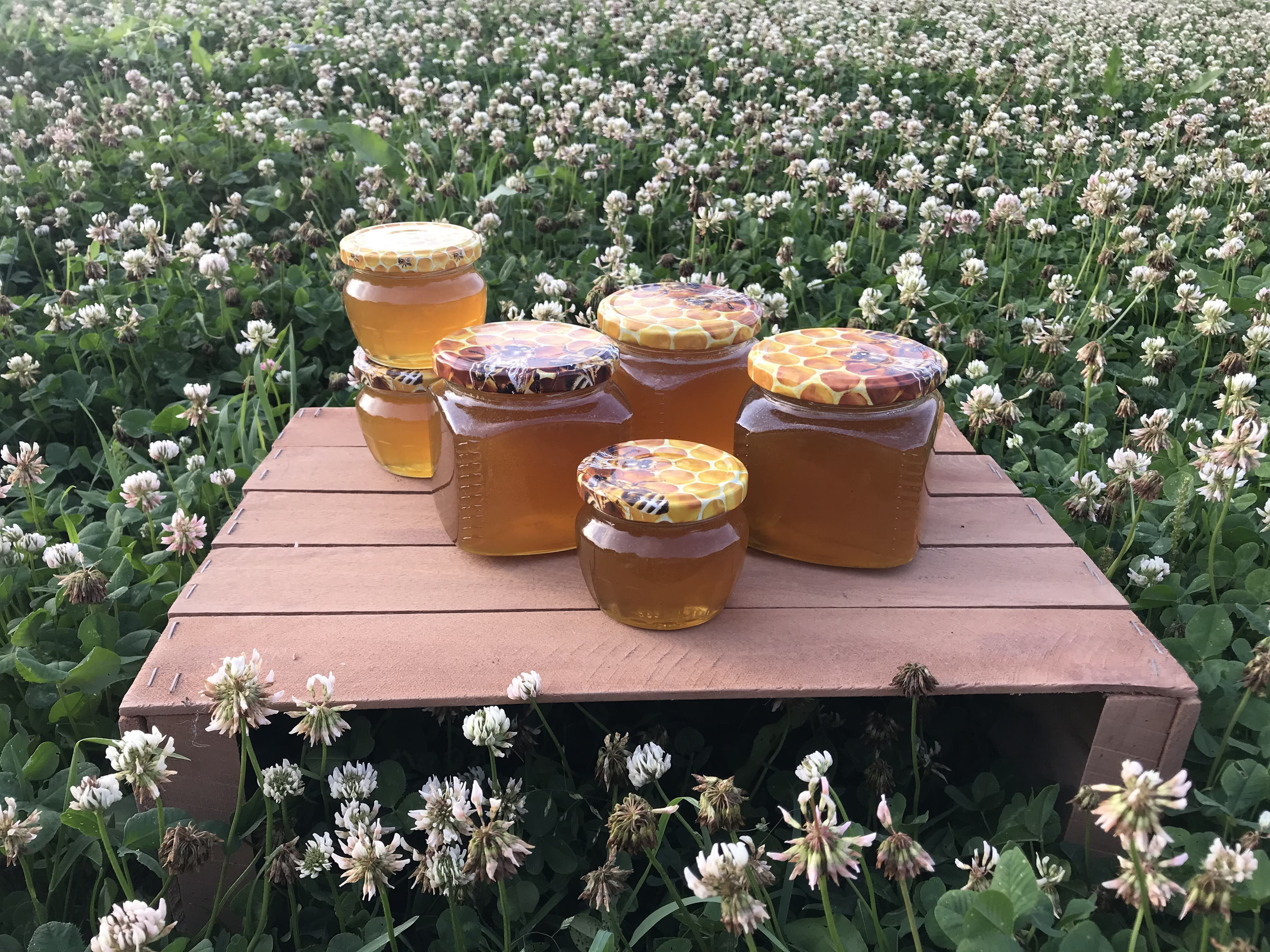 Как хранить натуральный мед. Эко отдых в Подмосковье в эко-отеле Марии Гиппенрейтер