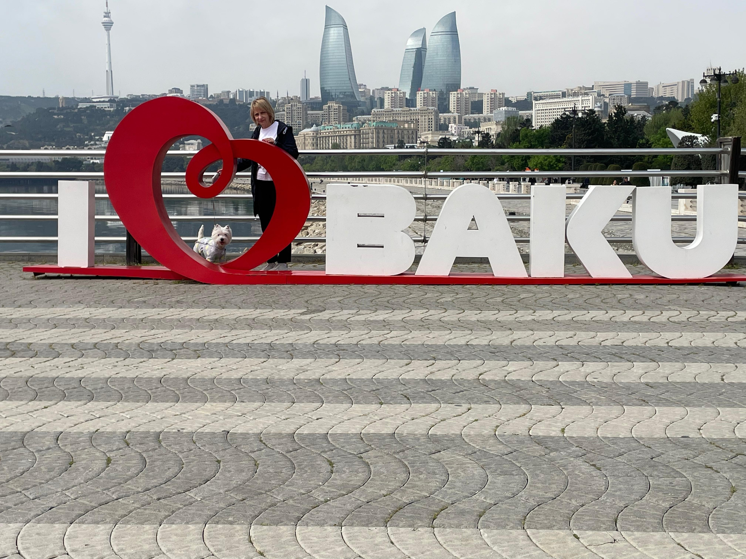 Международная выставка ранга CACIB «Baku spring 2025». Питомник собак породы вест хайленд вайт терьер в Москве