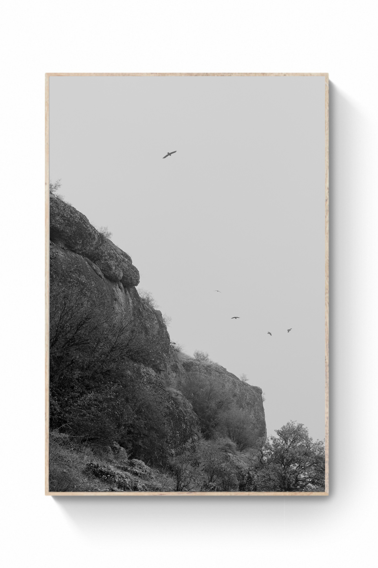 Prints. Kristina Sergeeva