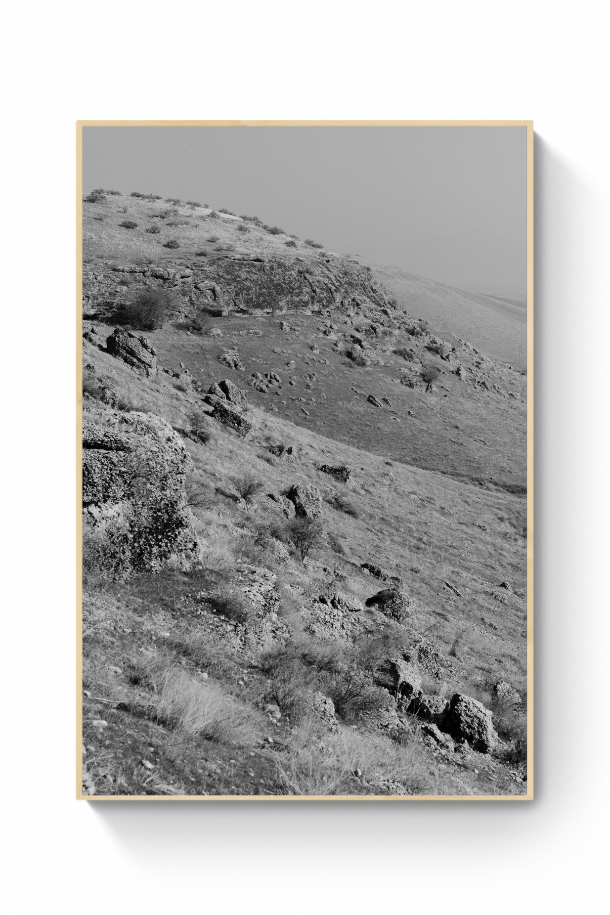 Prints. Kristina Sergeeva