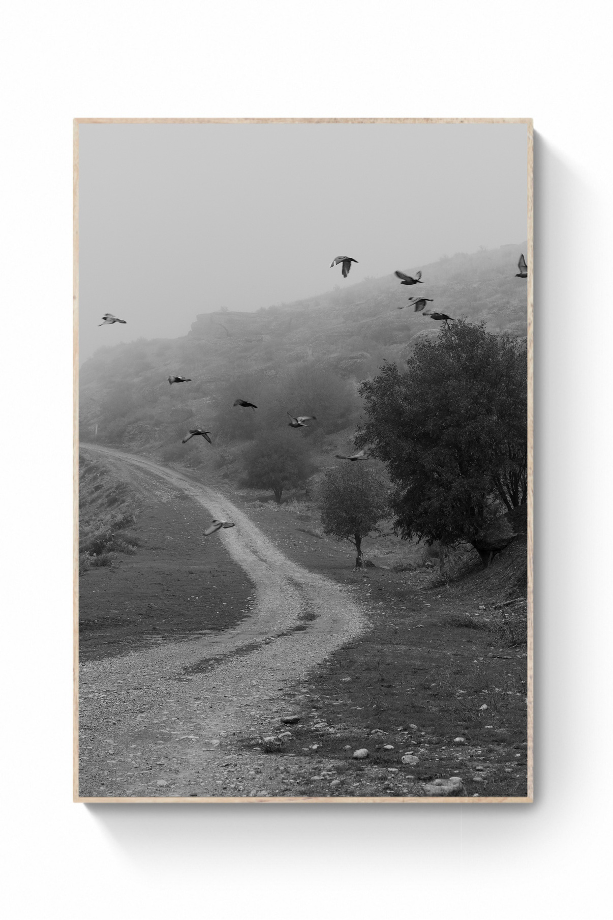 Prints. Kristina Sergeeva