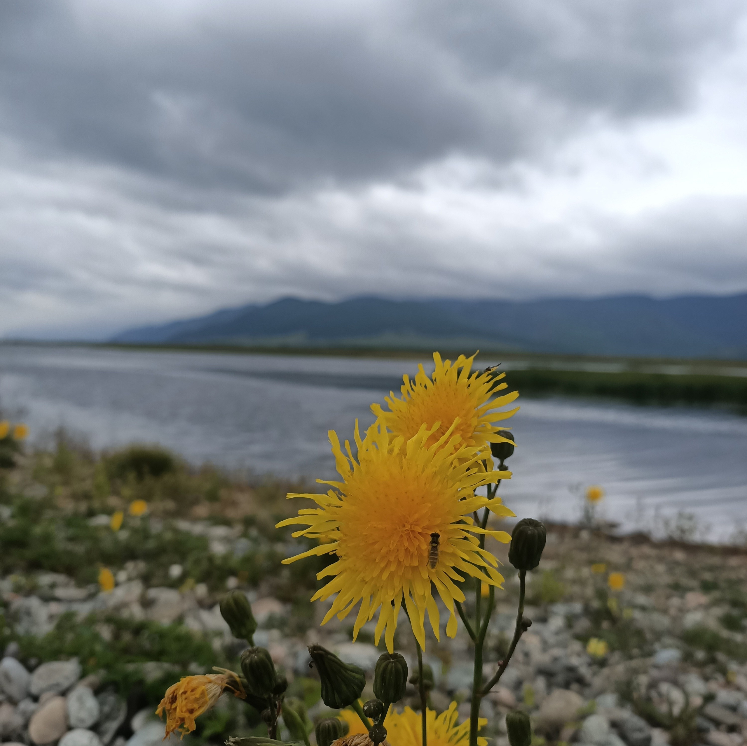 Личный фотоархив