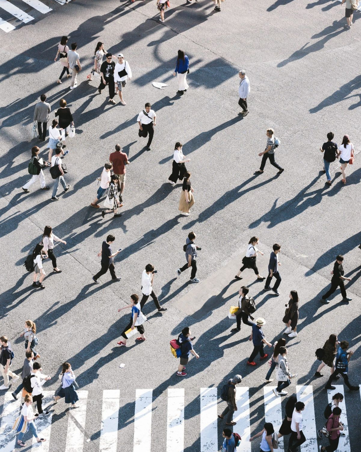 Профориентация. Фотокружок «Видоискатель» ГБОУ СОШ № 291