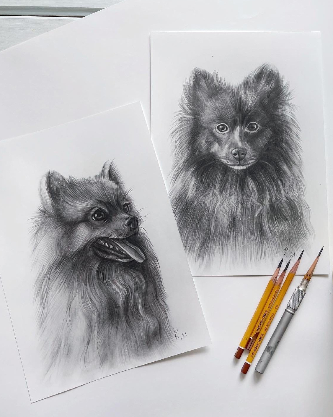 Услуги. YULA KOLESOVA | Фотограф — Анималист | Художник | Тюмень