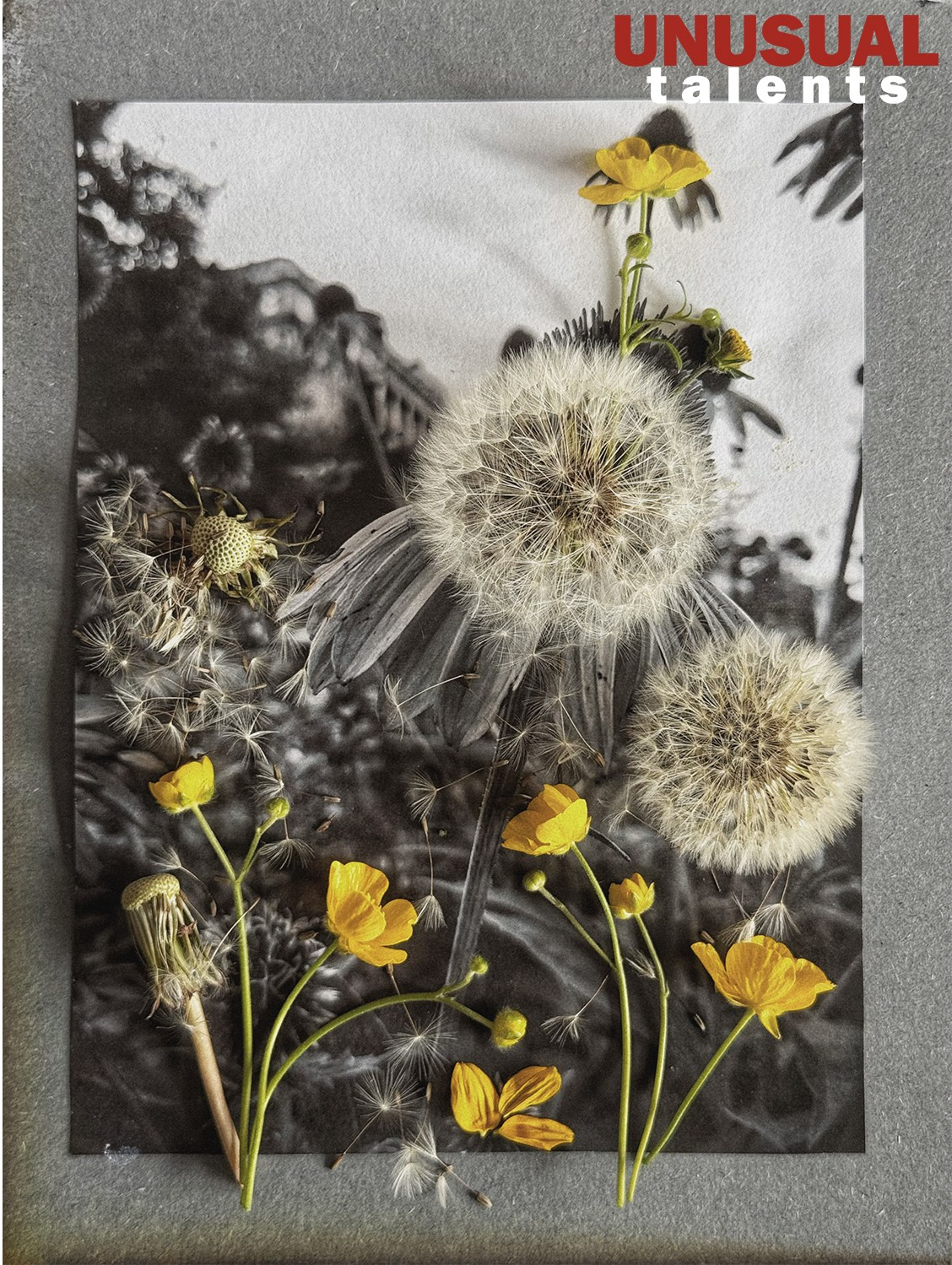 Olha Kudina (Norway). UNUSUAL TALENT magazine