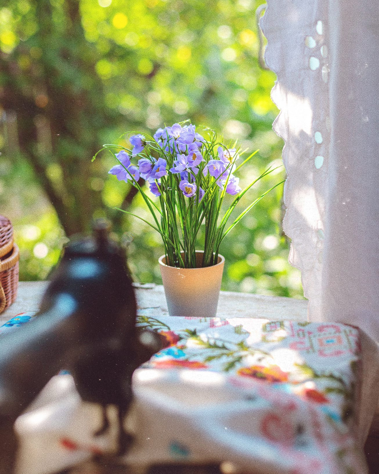 Семейная фотосессия, фотосессия в деревне, деревенский дом, чаепитие. Профессиональный фотограф, фотохудожник, видеограф из Москвы