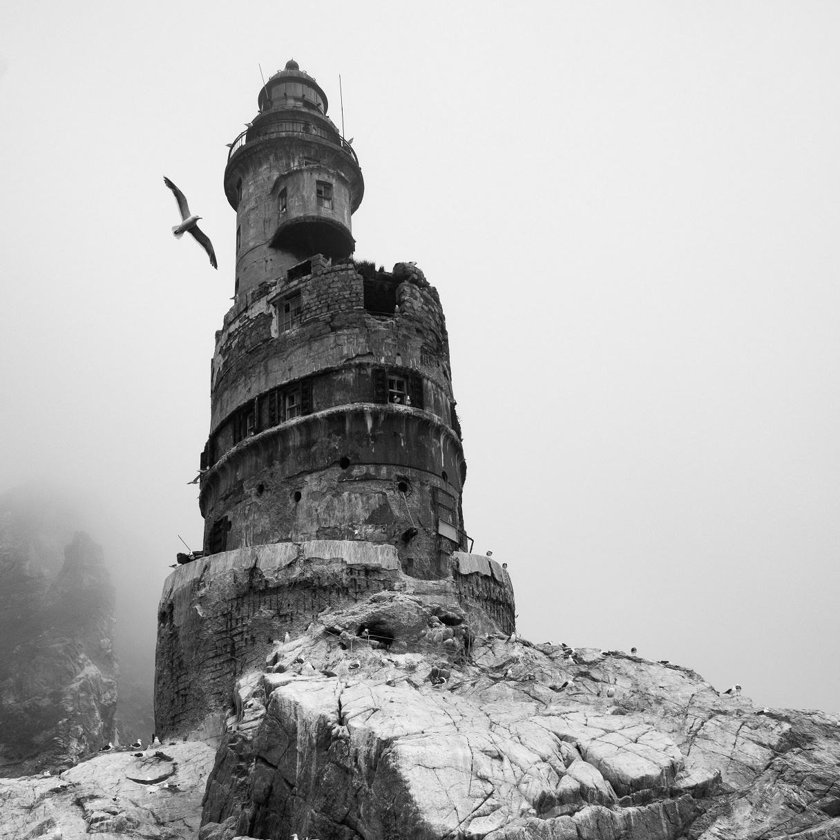 Фотография. Художник, фотограф Ирина Тен