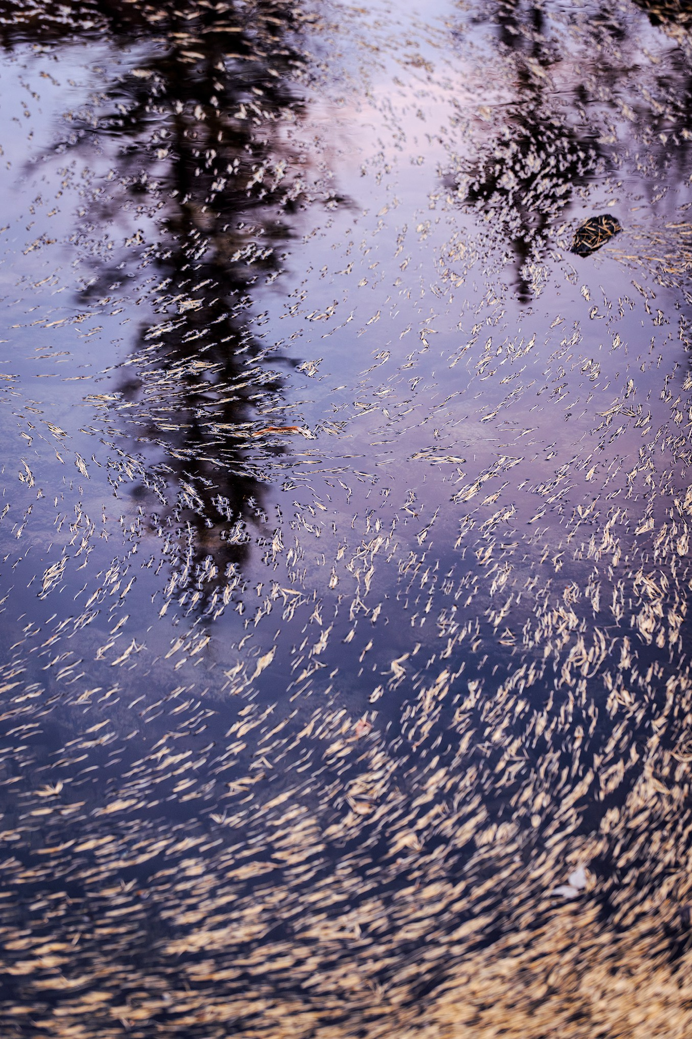 Услуги. High-quality interior photos for your home, office, hotel