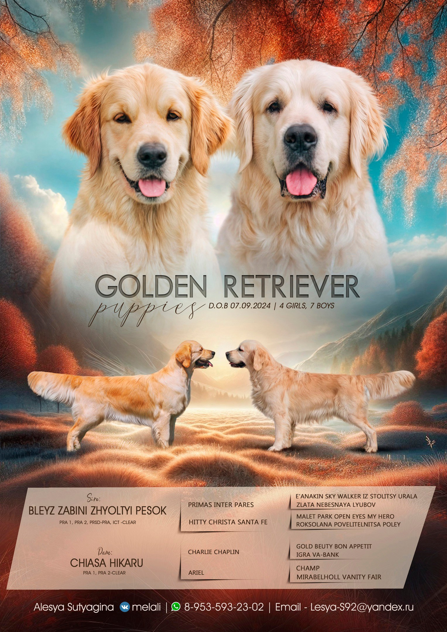 Литера А, др 7.09.2024 Веста х Снежик. Свадебный и женский фотограф