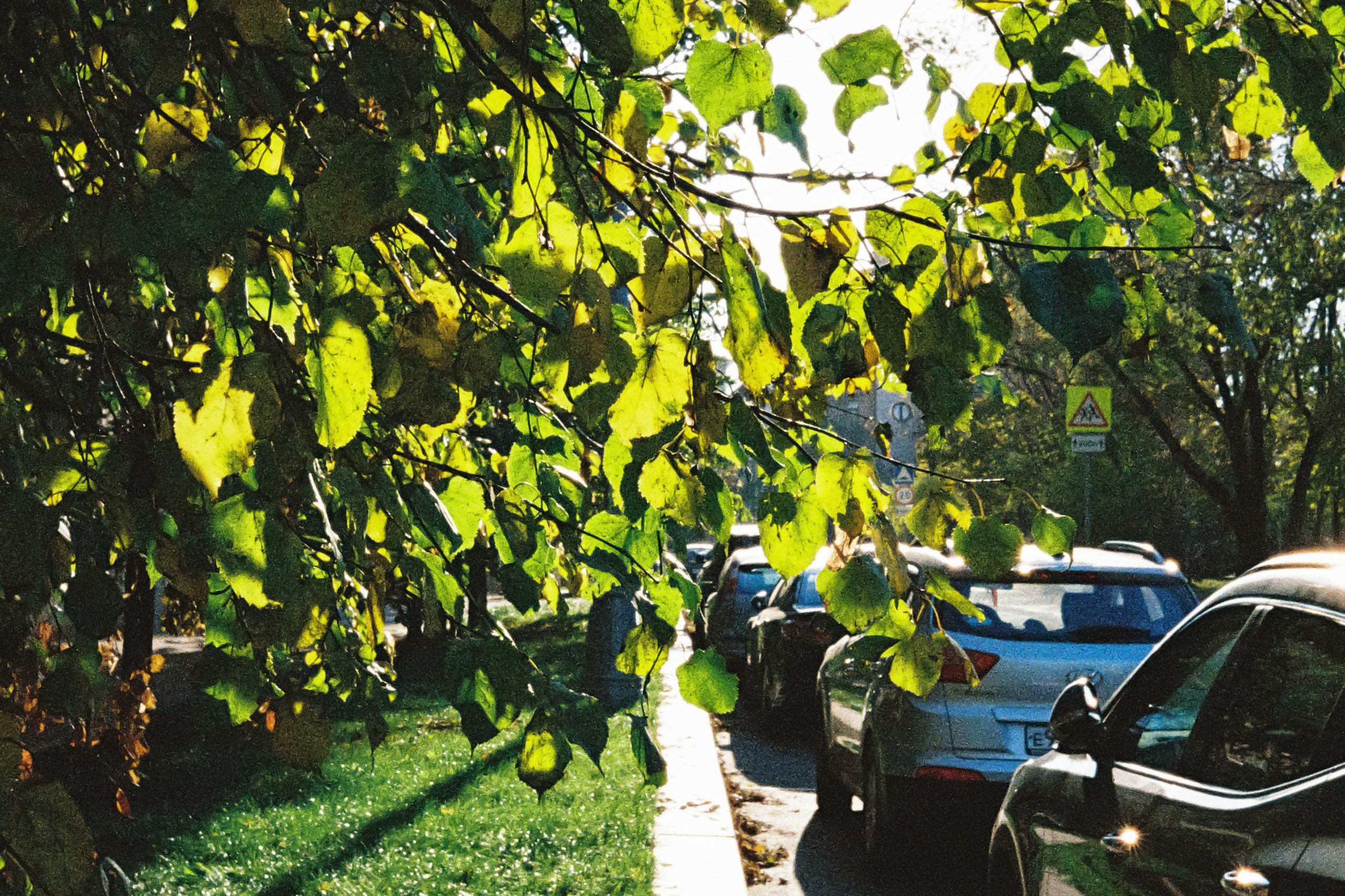 Осенние улицы Москвы, залитые солнцем
