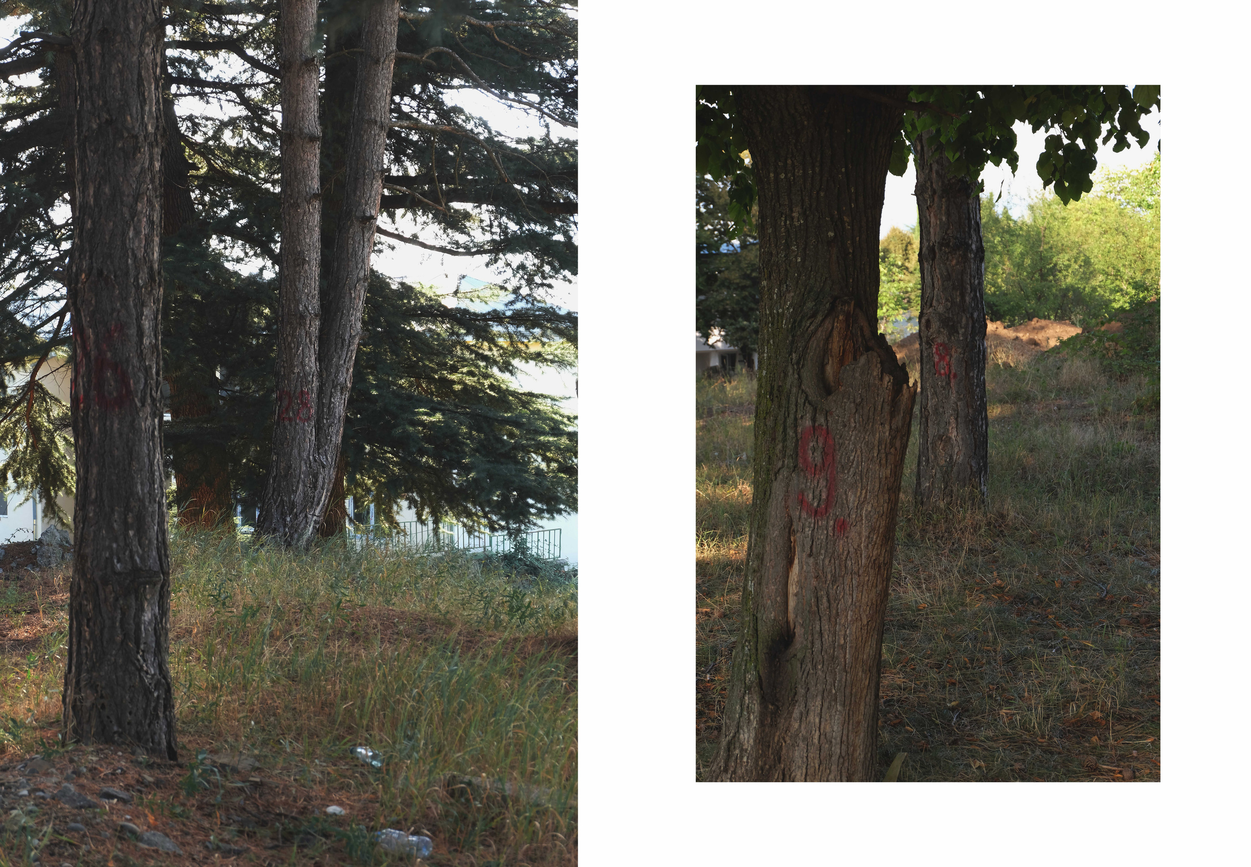 Параллельная программа — Красная 2023