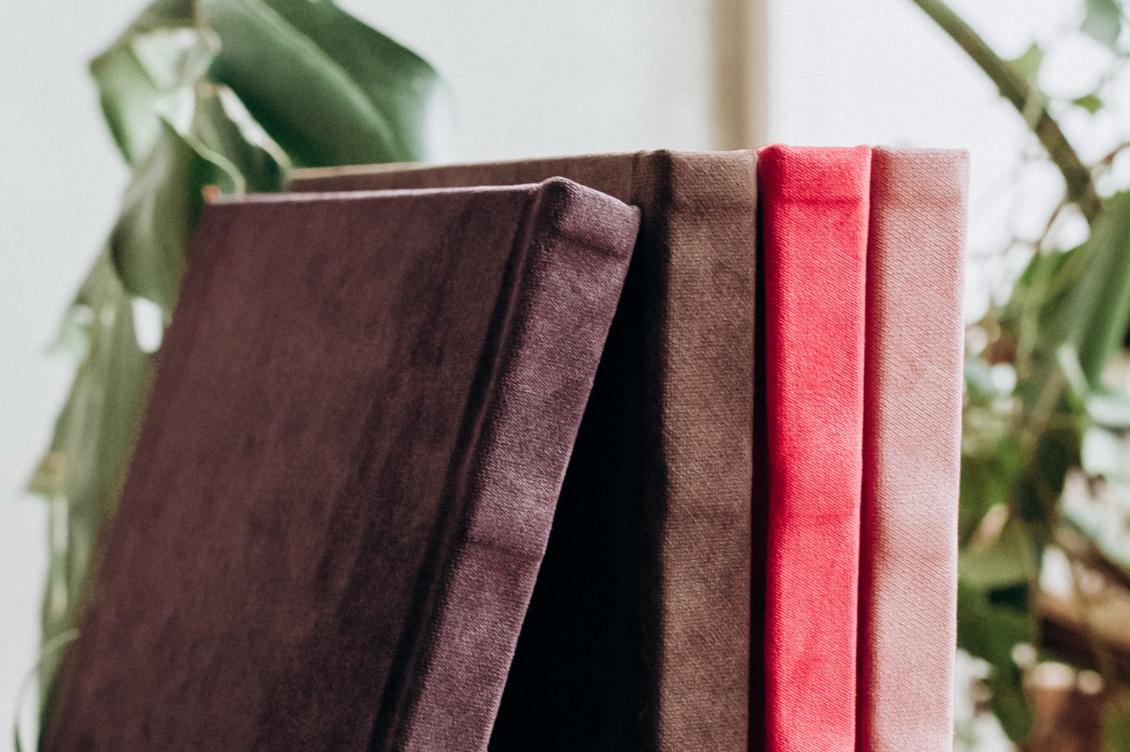 Фотосессия Минск. Фотограф Лия Козловская Минск