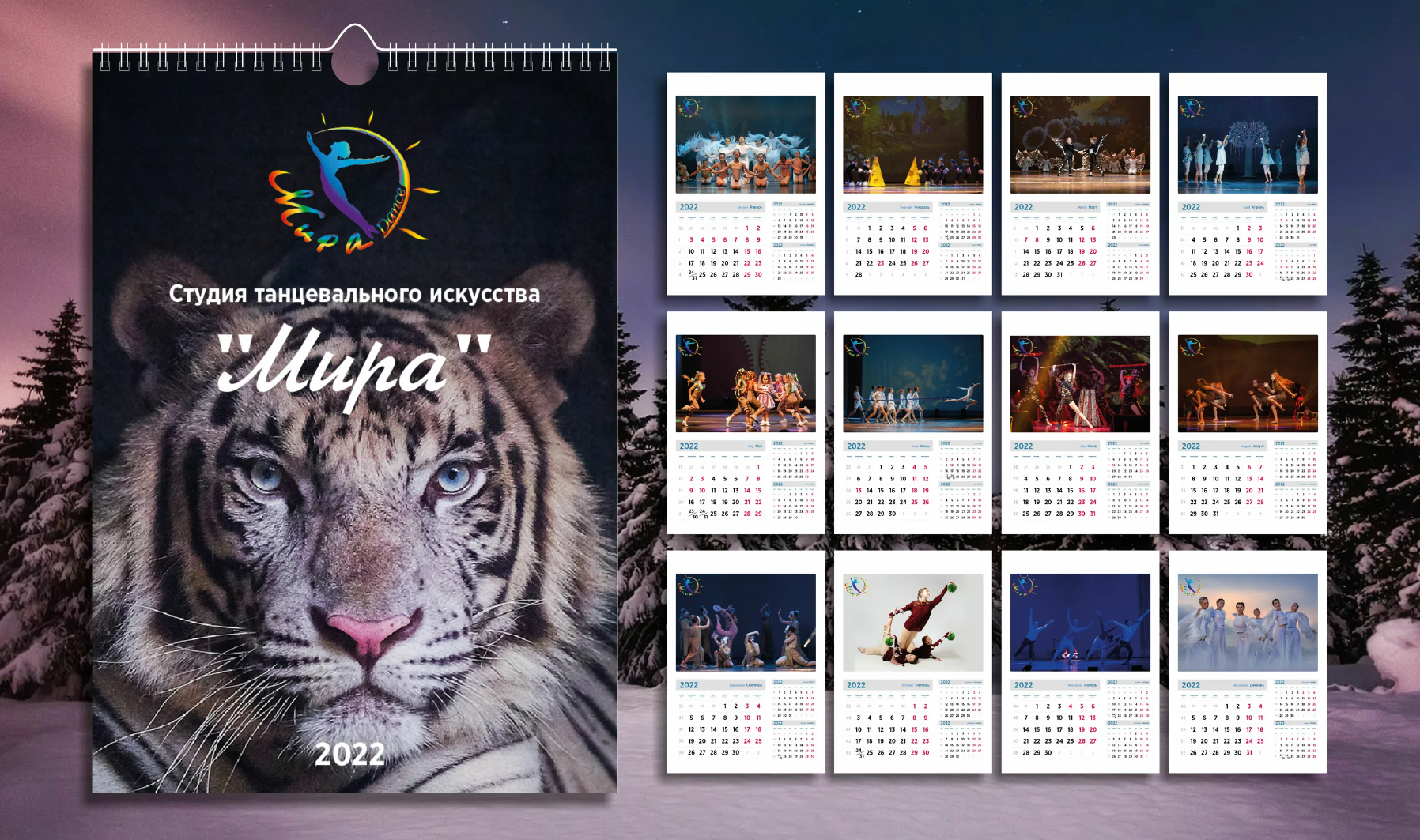 Дополнительные услуги от компании по созданию выпускных альбомов. Современные Выпускные Альбомы в Ростове-на-Дону