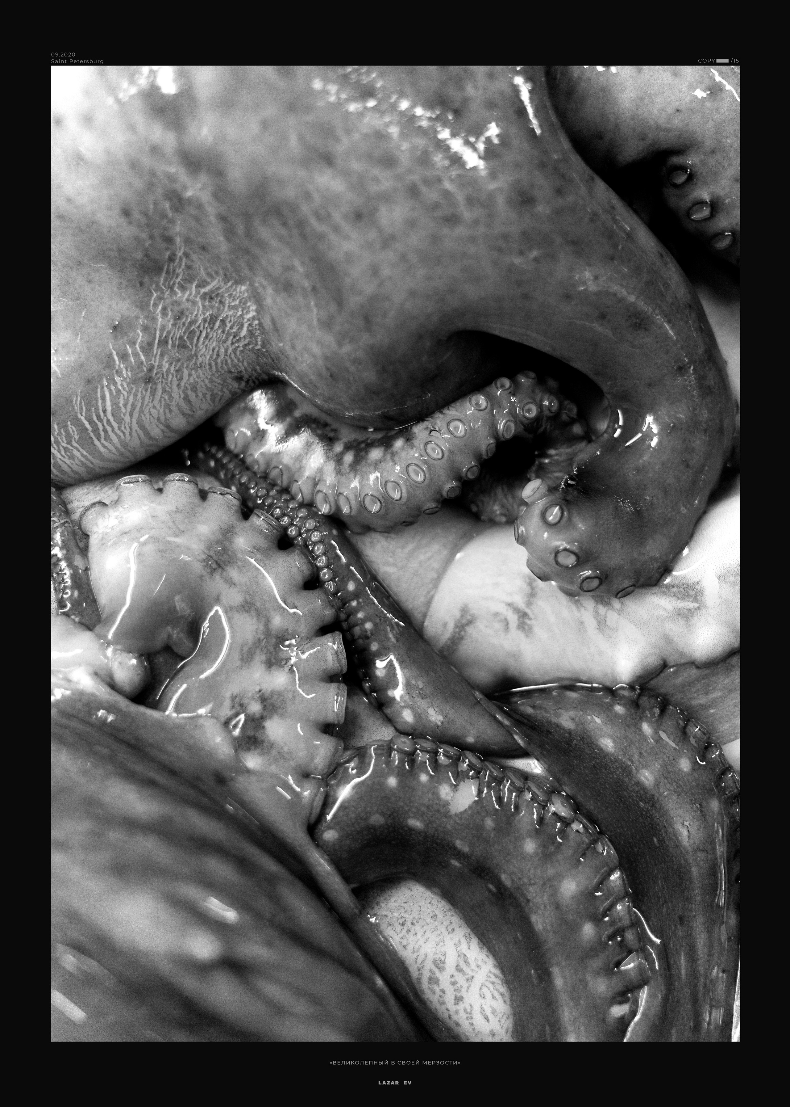 ФОТОГАЛЕРЕЯ. Фотограф в Санкт-Петербурге Лазарев Евгений