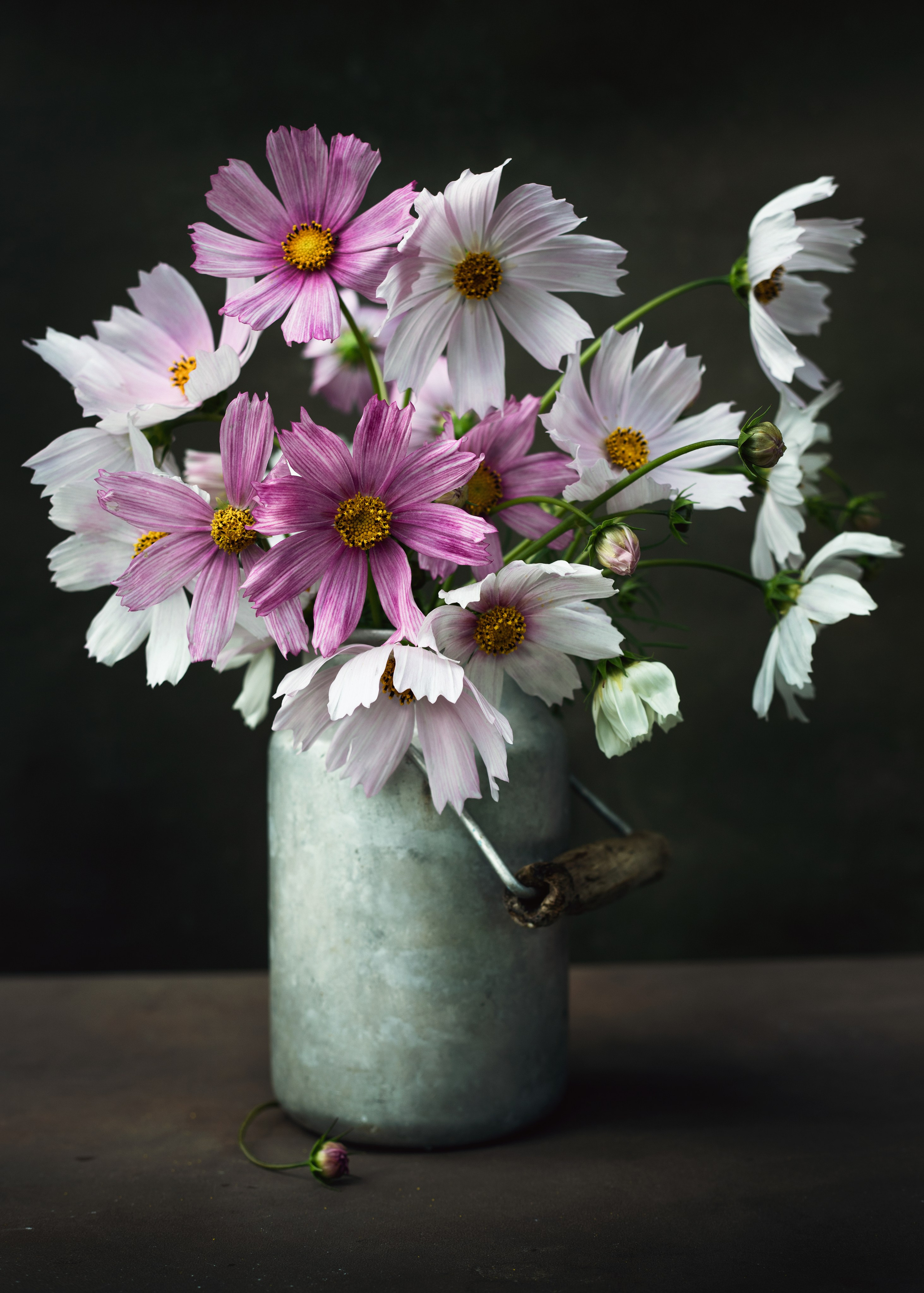 НАТЮРМОРТЫ